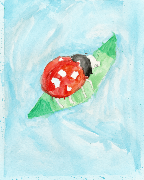 Ladybird drawing - Art with Isha
