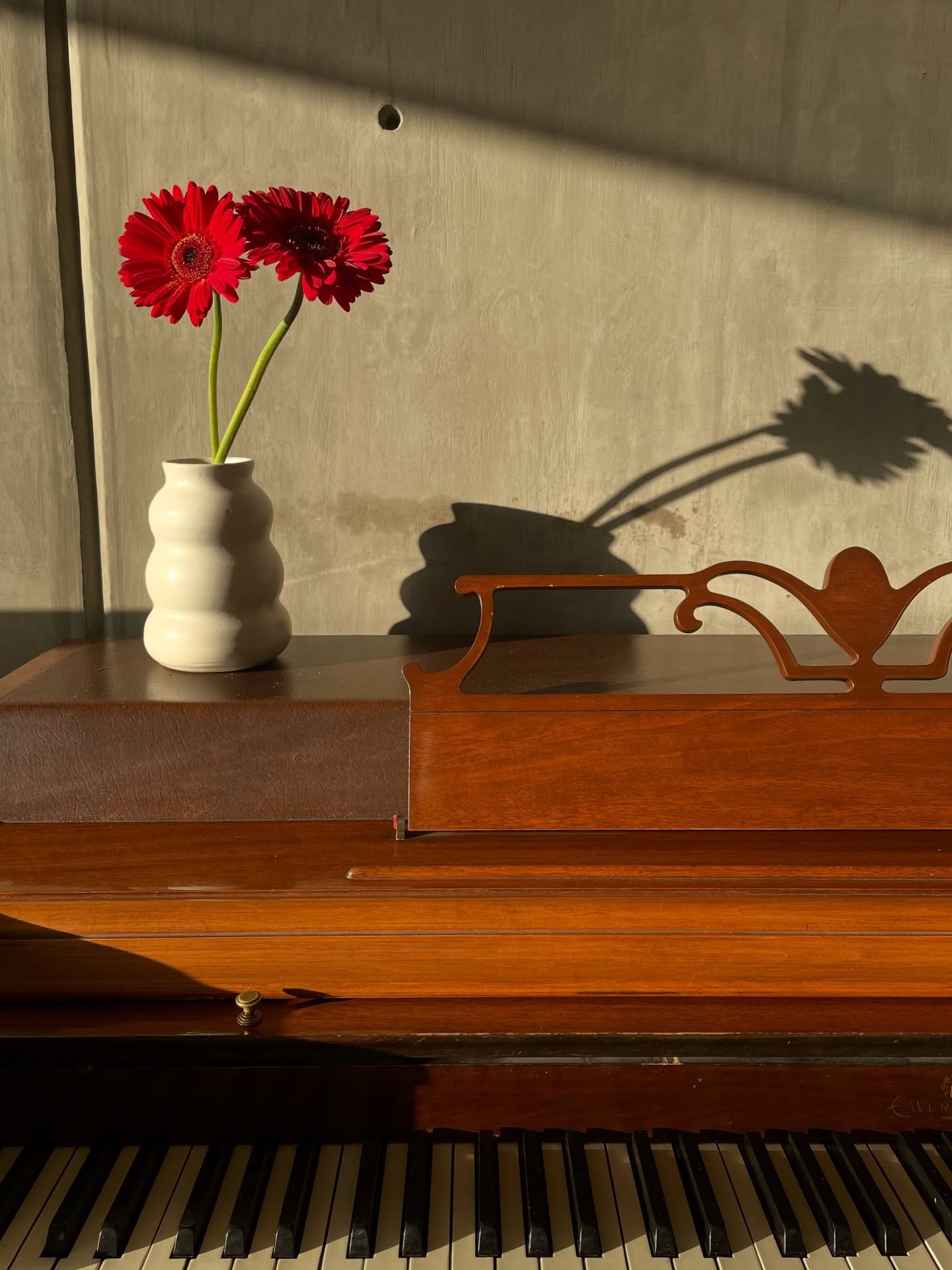 Mes largo, donde cada semana fue un universo. 
Donde com&iacute; rico, quiz&aacute;s un poco m&aacute;s de lo necesario, pero sin arrepentimiento.
De proyectos que nacieron, y otros que se siguen incubando.
De trabajo y vacaciones, de caos y pausa ve