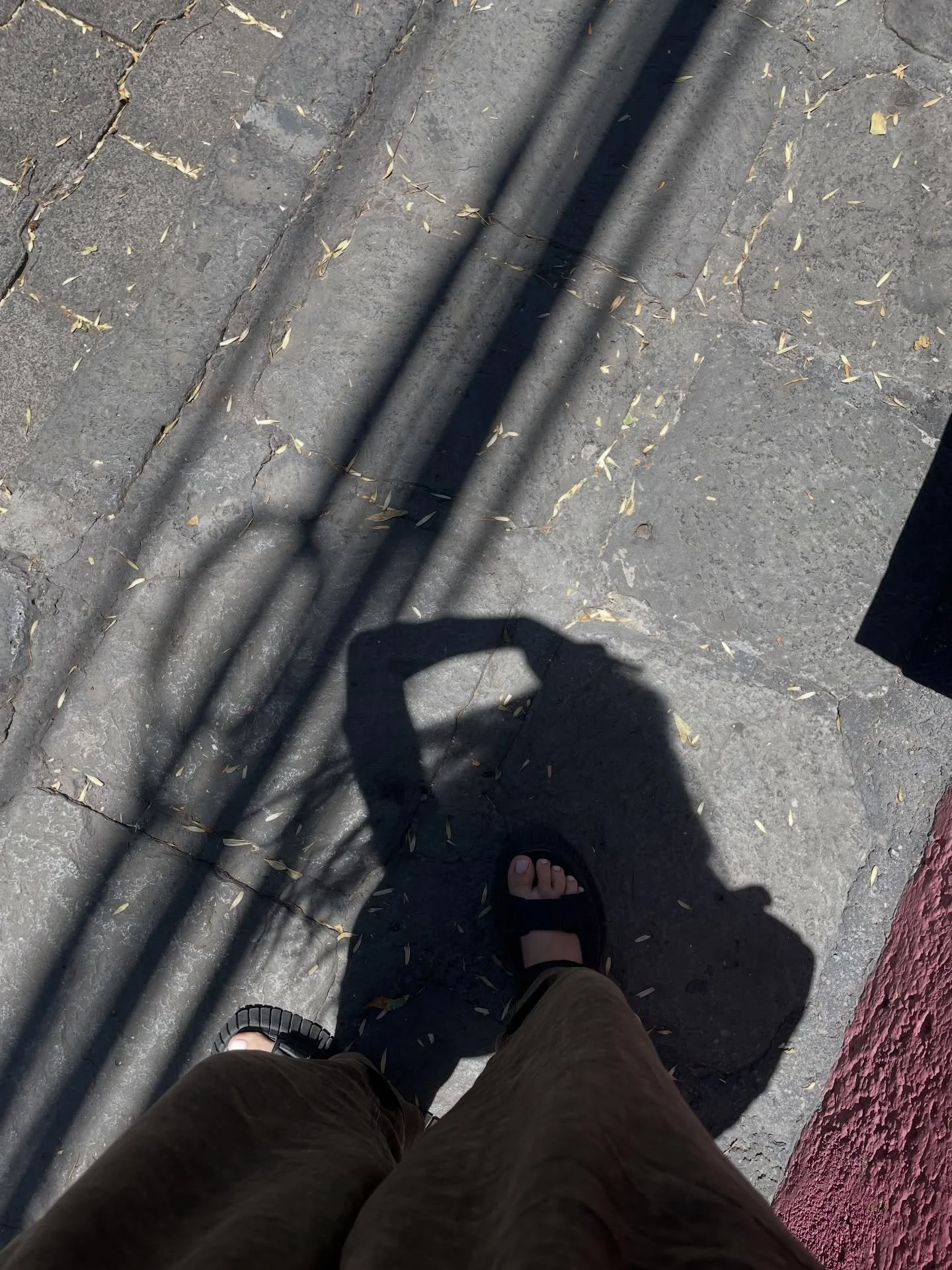 Recorrer una y otra vez hasta que se arma el mapa, 
Hasta que las calles se hacen una con los pies
Y la ruta es intuitiva.
Ir de un lugar a otro sin mapas, es un conquista. 

MIGRAR, disponible en Amazon ✨

#MIGRAR #LibroMigrar #ProsaPoetica