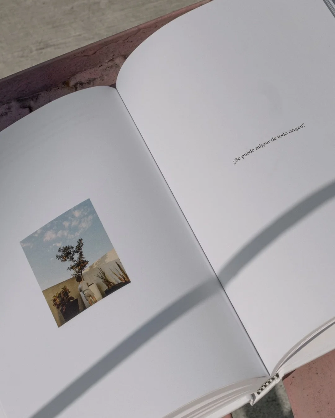 Pasajes de Migrar &mdash; PARTIR

Este carrusel re&uacute;ne dos poemas del cap&iacute;tulo Partir de Migrar.

El primero se llama &ldquo;Gratitud&rdquo;.
Y no es casual que todo comience ah&iacute;.

El segundo poema es &ldquo;Partir&rdquo;.
Y en &e