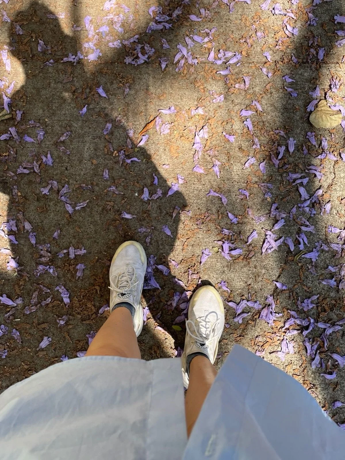 Pasajes de Migrar &mdash; PARTIR II

Este segundo pasaje re&uacute;ne dos nuevos poemas del cap&iacute;tulo Partir de Migrar.

El primero se llama &ldquo;Otro paso&rdquo;.
Habla del momento previo al salto:
cuando una deja atr&aacute;s lo que cree qu