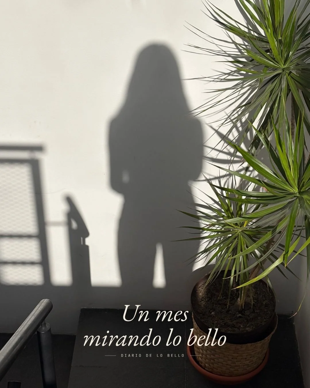 Diario de lo bello - Un mes mirando lo bello 

Hace poco m&aacute;s de un mes decid&iacute; publicar a diario una nota breve -y a veces no tanto- sobre aquellas cosas, pensamientos o encuentros que me parec&iacute;an bellos en el cotidiano. 

Diario 