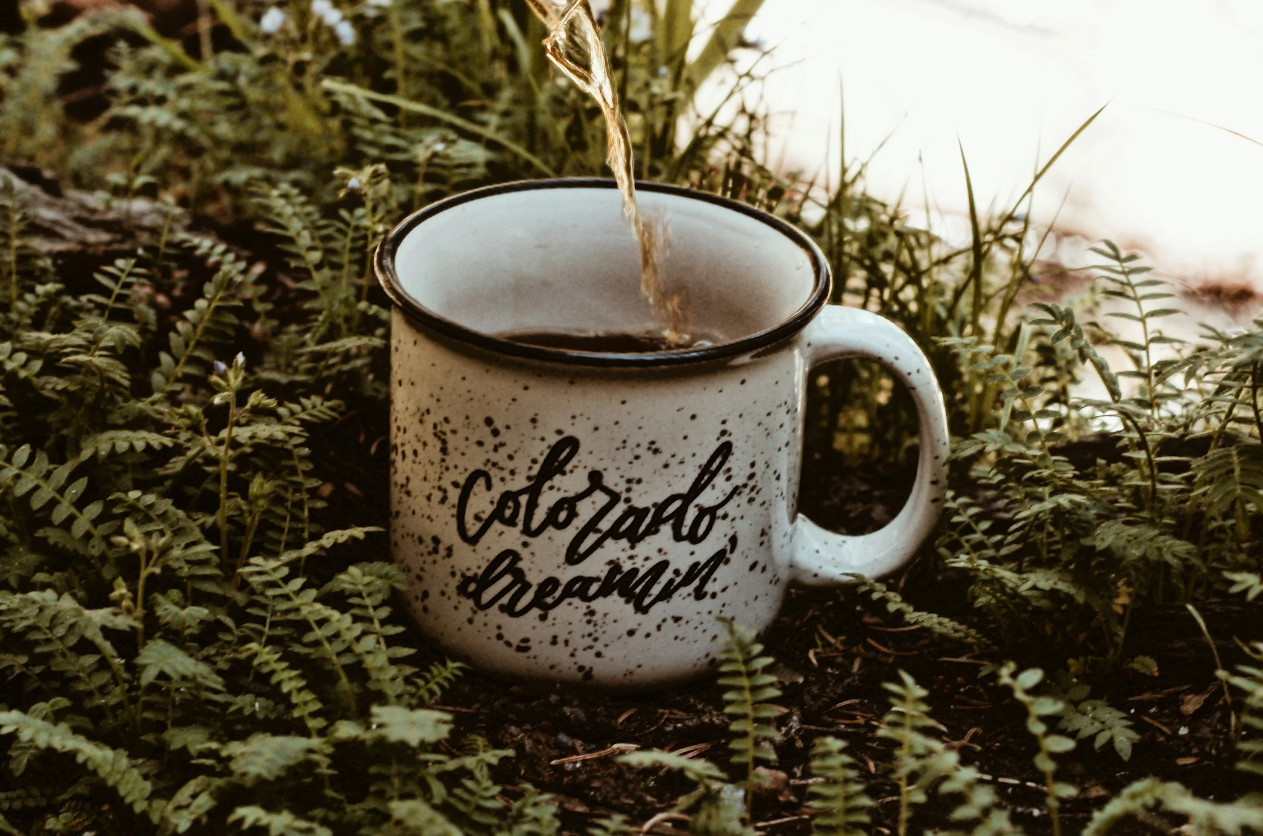 A white ceramic mug with black speckles and the words 'Colorado dreamin' written on it, with tea being poured into it, surrounded by green plants.