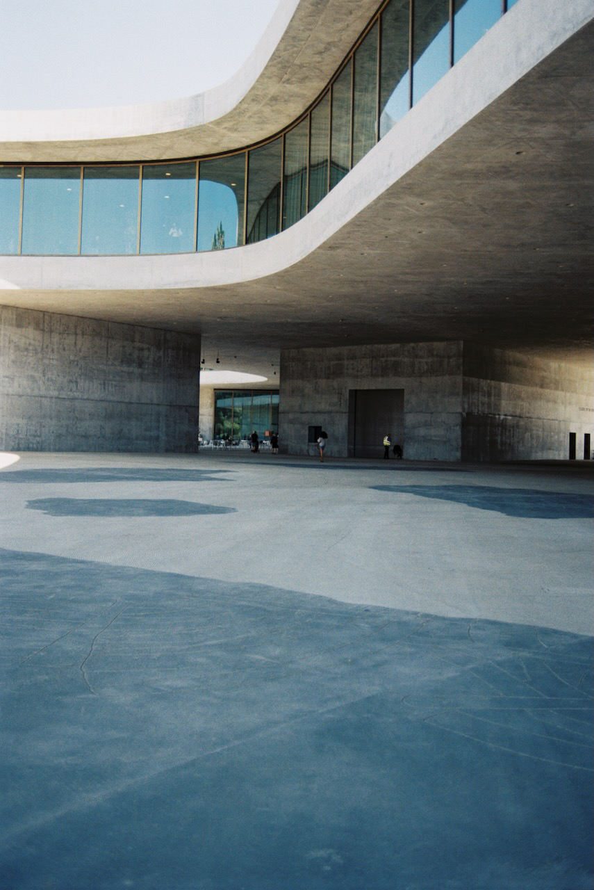 LACMA 3.png