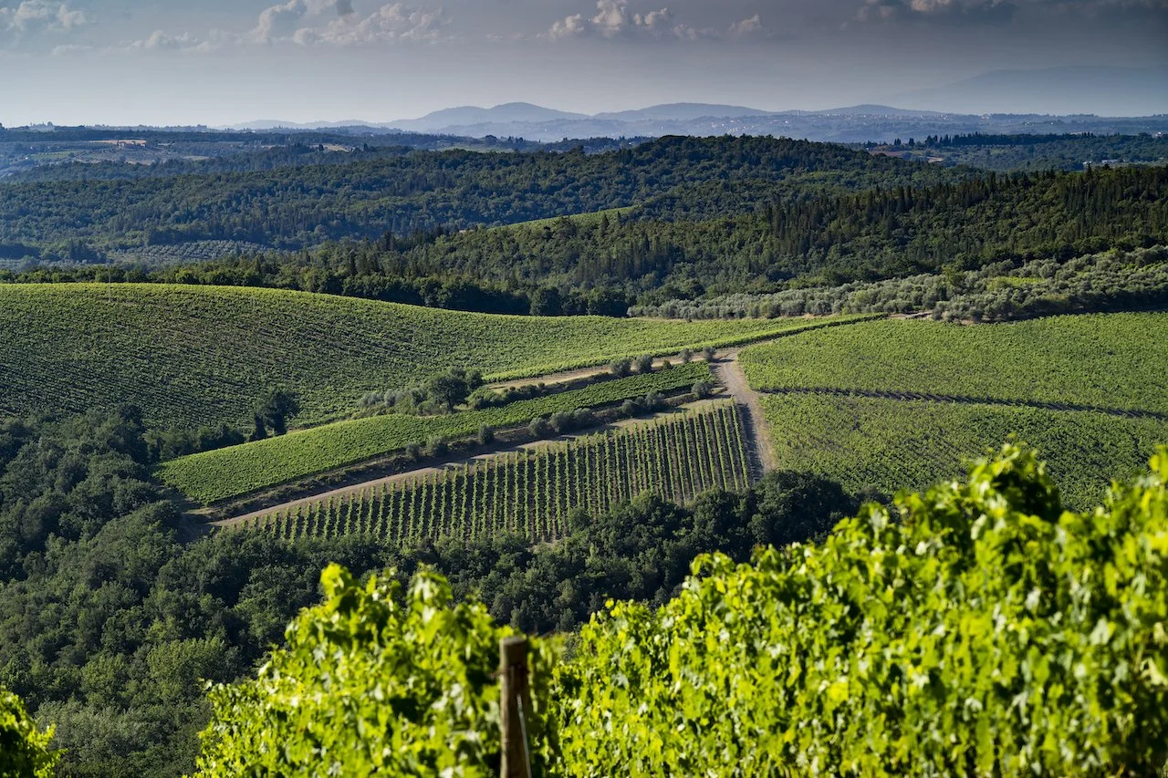 Ruffino Tenuta Santedame Chianti Classico