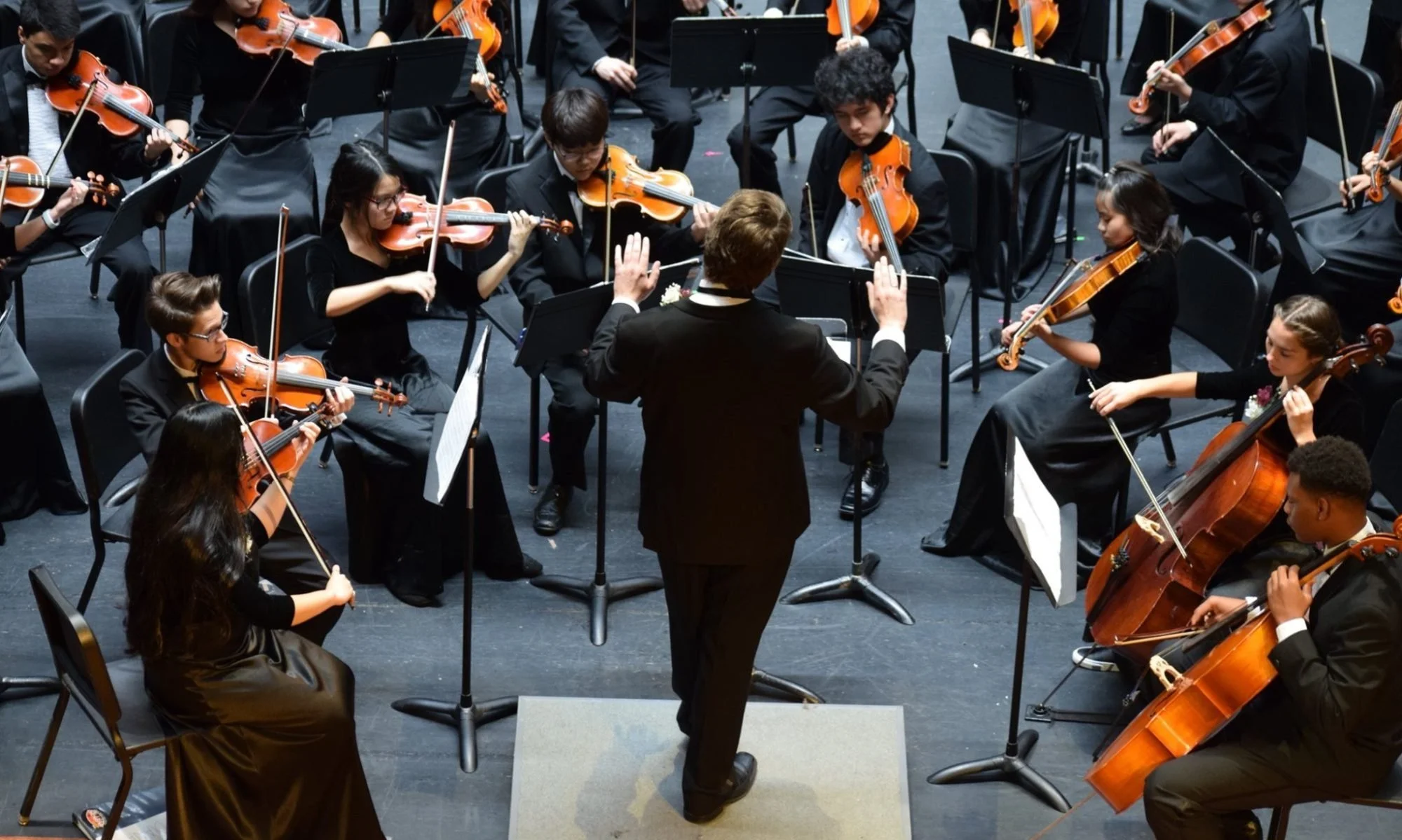 “Hymn to the Birds” from Tales from the Aviary by Cinco Ranch High School Orchestra