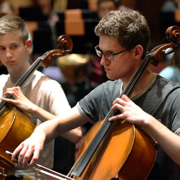 “Heights” from Three Sketches of Unblemished Earth by The Des Moines Youth Orchestras' Youth Symphony