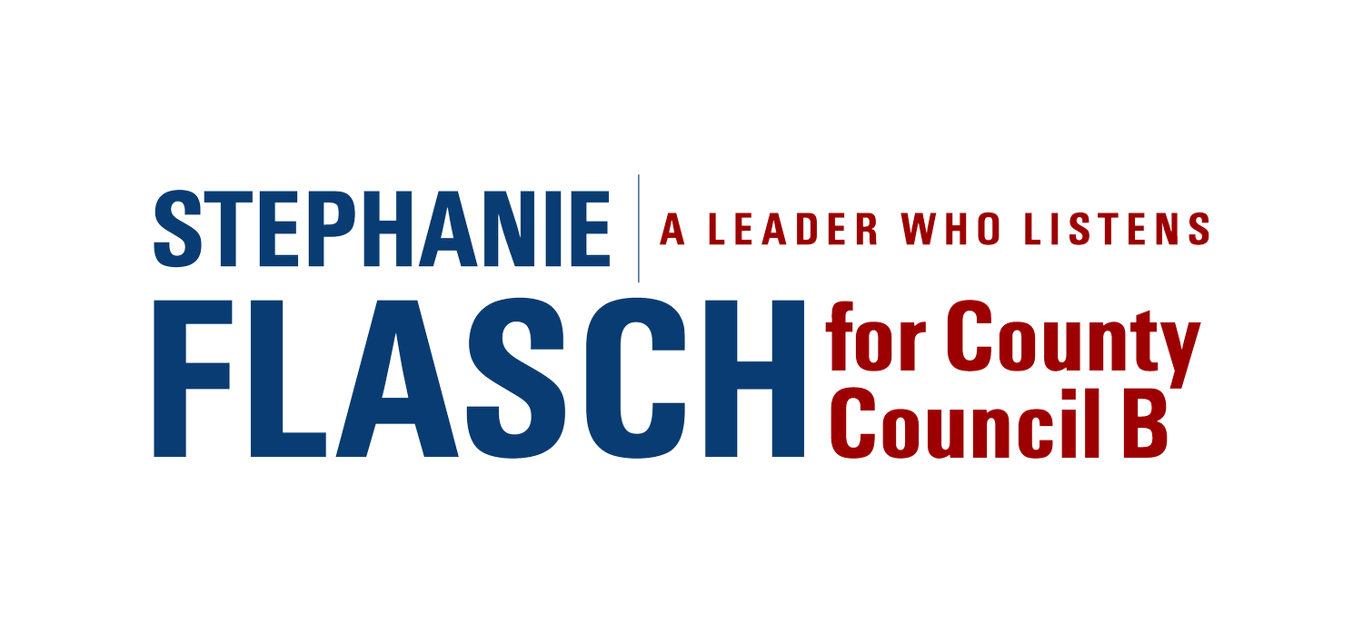 Stephanie Flasch for District B