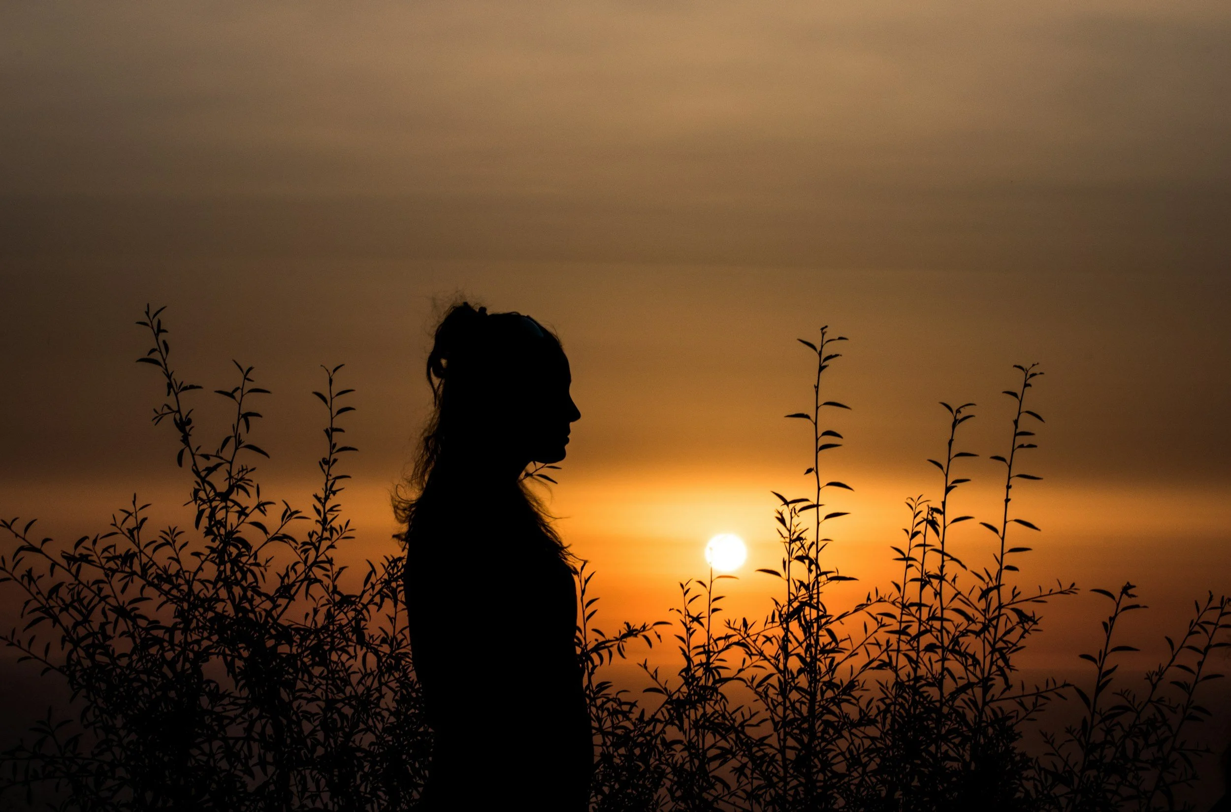 Silhouette of a woman looking at the sunset behind wispy clouds, with tall plants in the foreground.