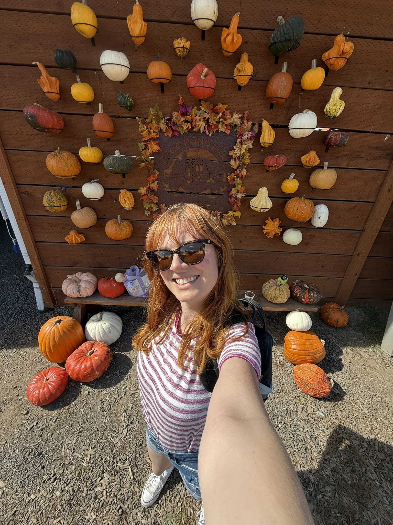 Smiling woman with sunglasses taking a selfie in front of a fall display of various pumpkins and gourds, some on the ground and some hanging on a wooden wall decorated with autumn leaves and a wreath.