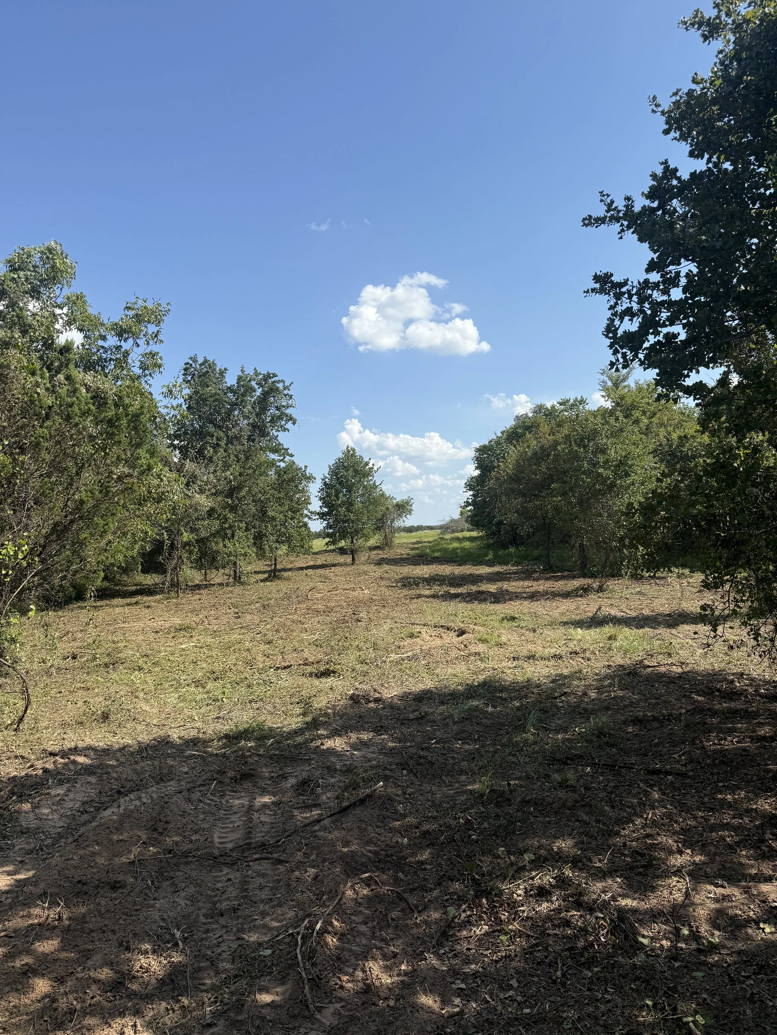 Open field with trees on both sides under a blue sky with scattered clouds.