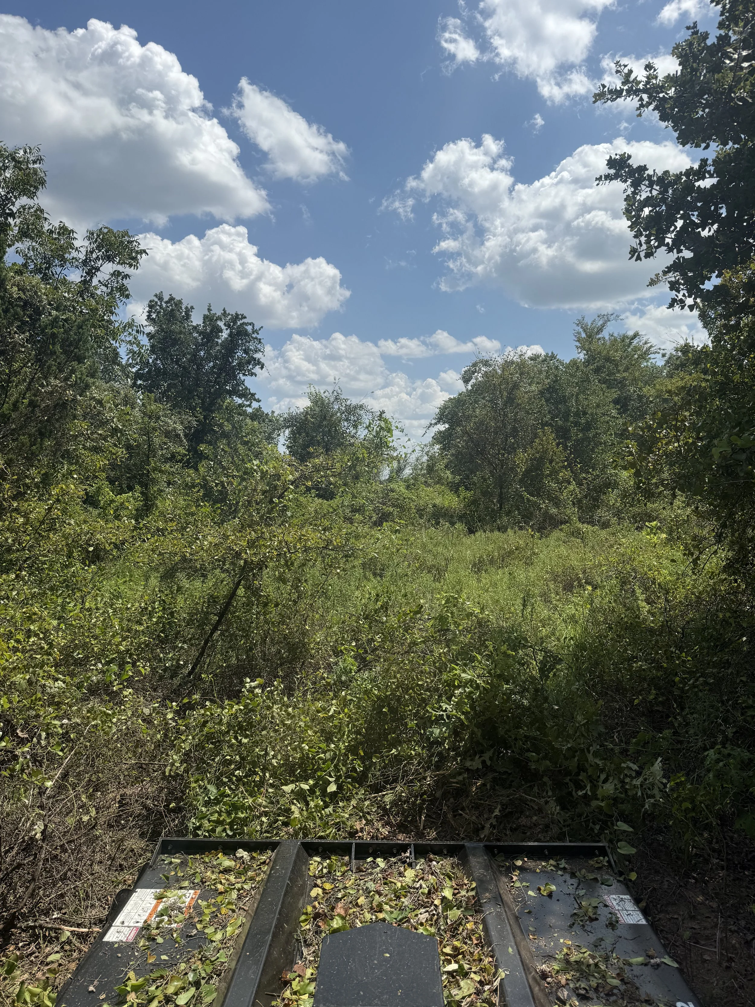 View of a grassy and bushy outdoor area with trees under a partly cloudy sky, seen from the front of a black trailer or utility cart with some leaves on top.
