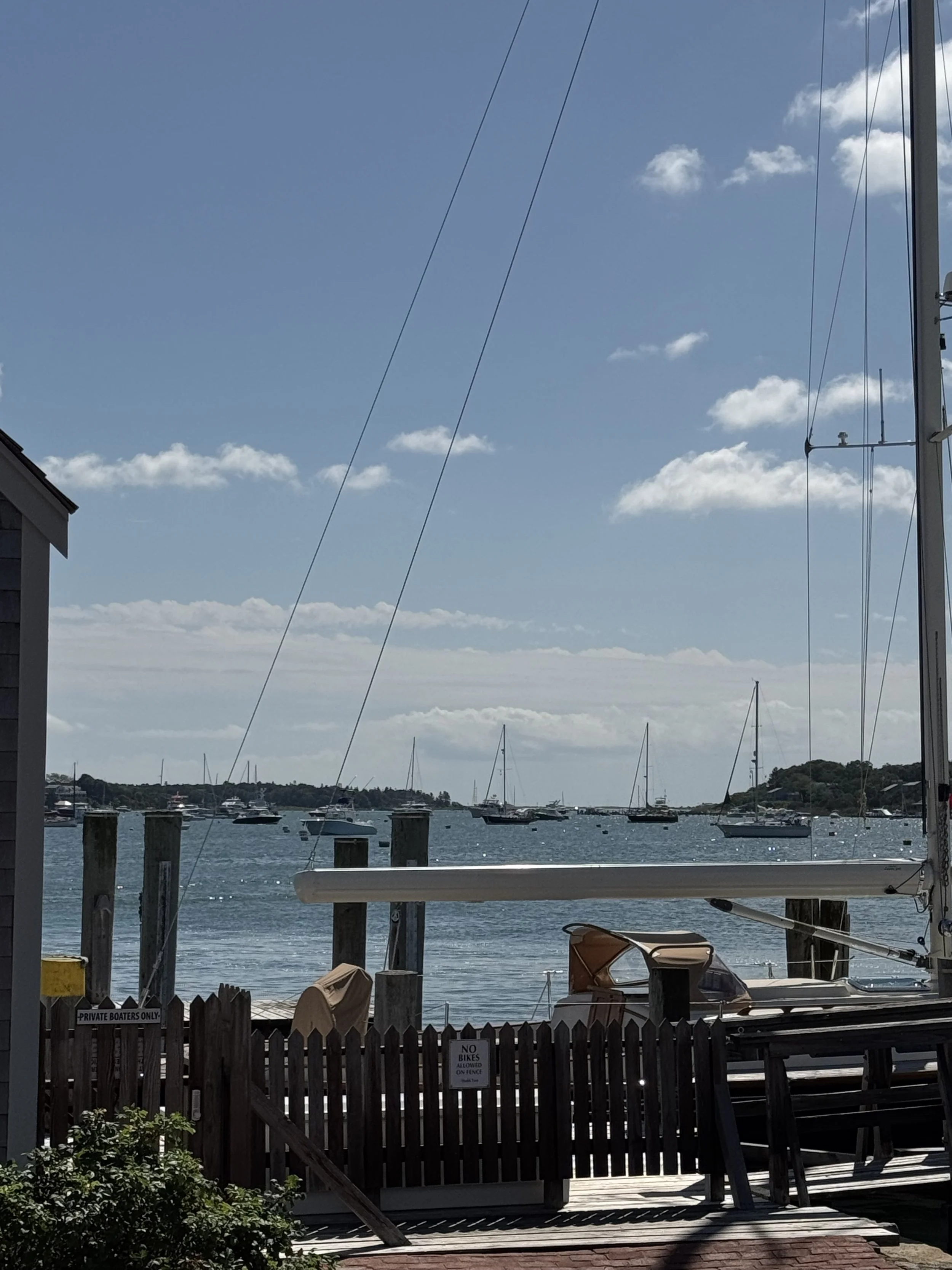 marthas vineyard travel 2.jpeg