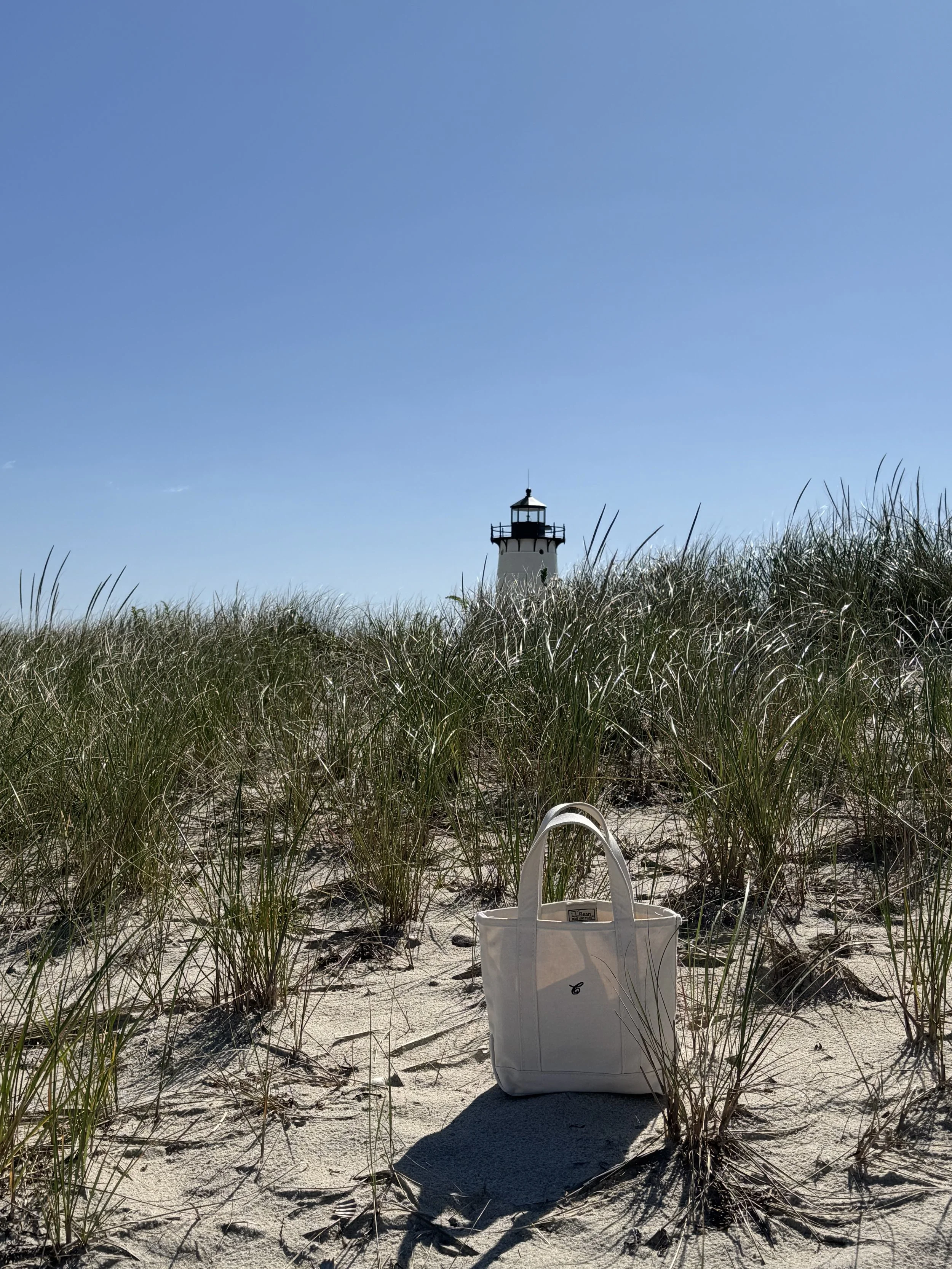 marthas vineyard travel 9.jpeg