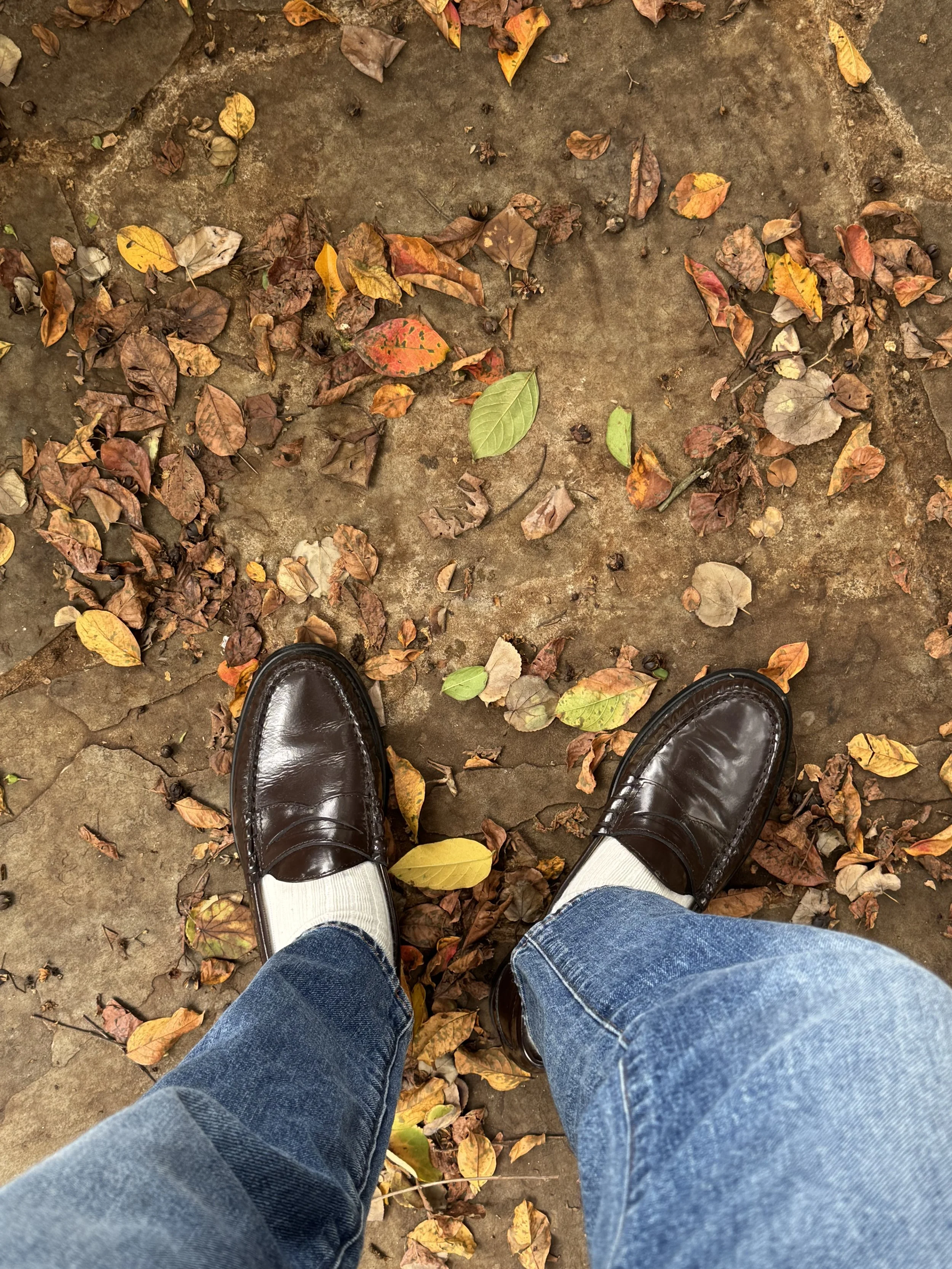 fall aesthetic 1.jpeg