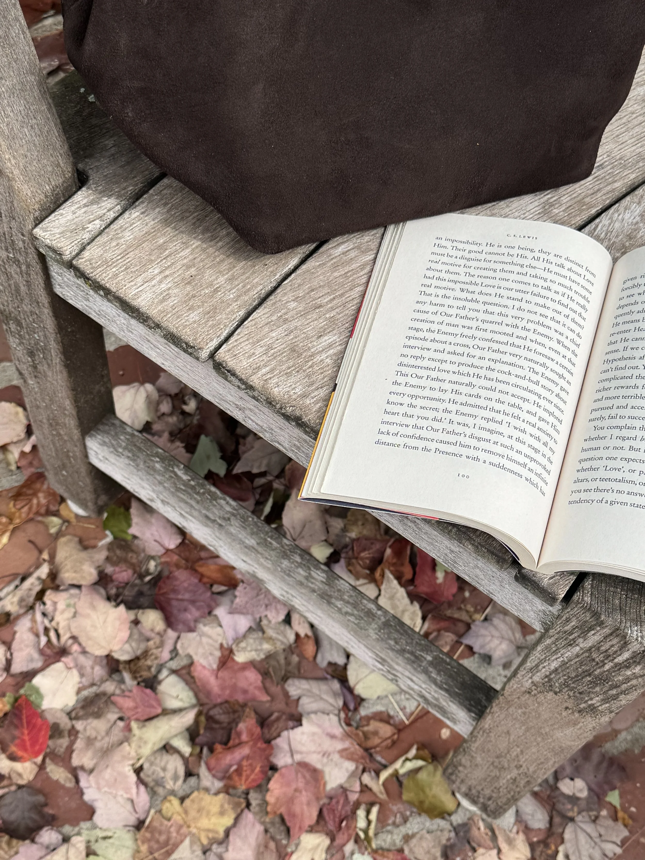 book aesthetic 1.jpeg