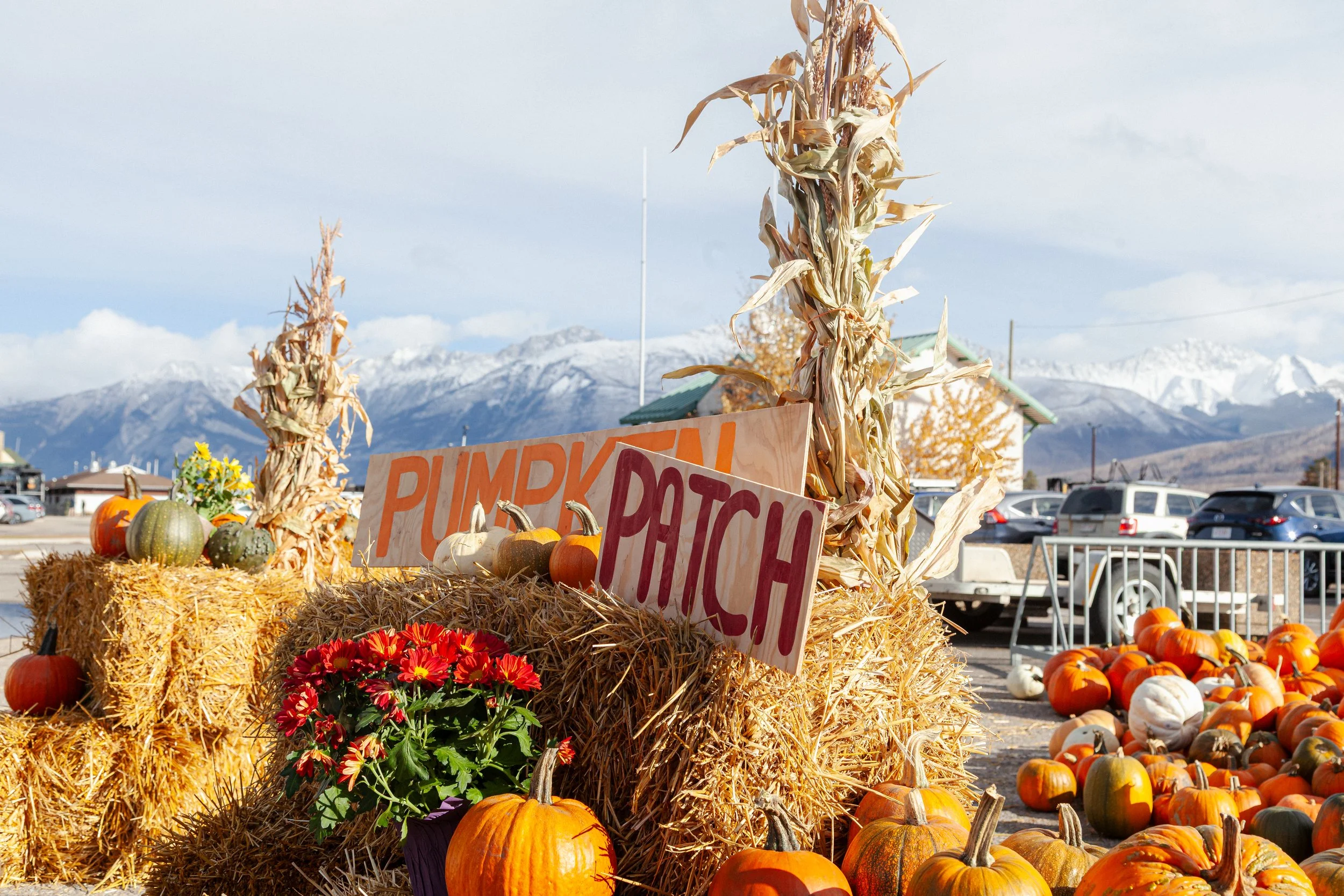 Pumpkin Patch at the Jasper Fall Fest 2025
