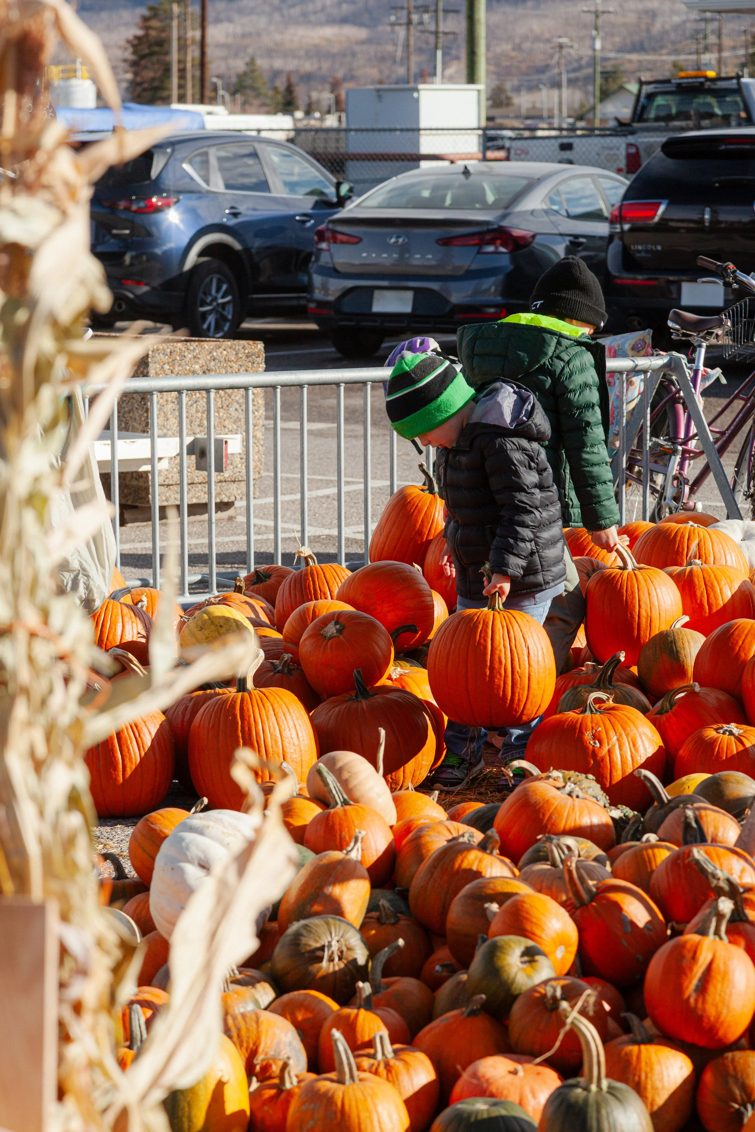 CR Amy Wheeldon - Jasper Fall Fest 2025-26.JPG