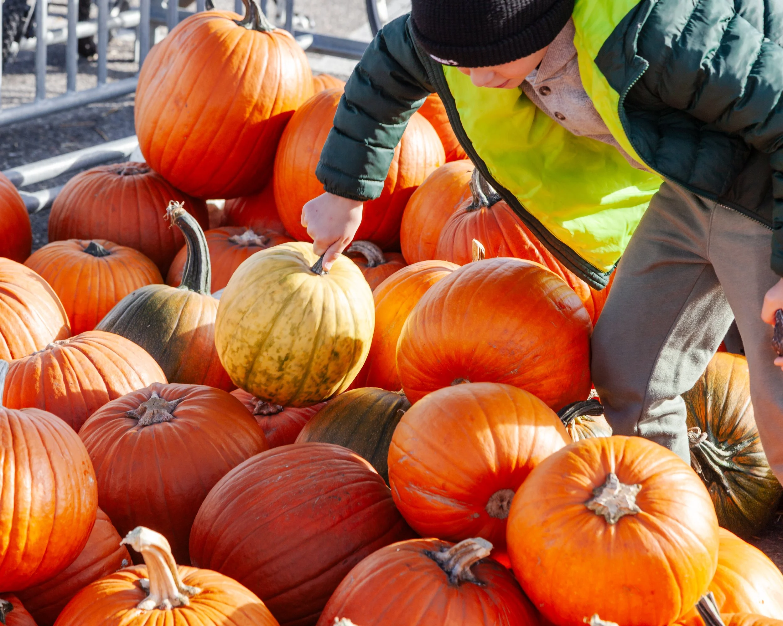 CR Amy Wheeldon - Jasper Fall Fest 2025-51.JPG