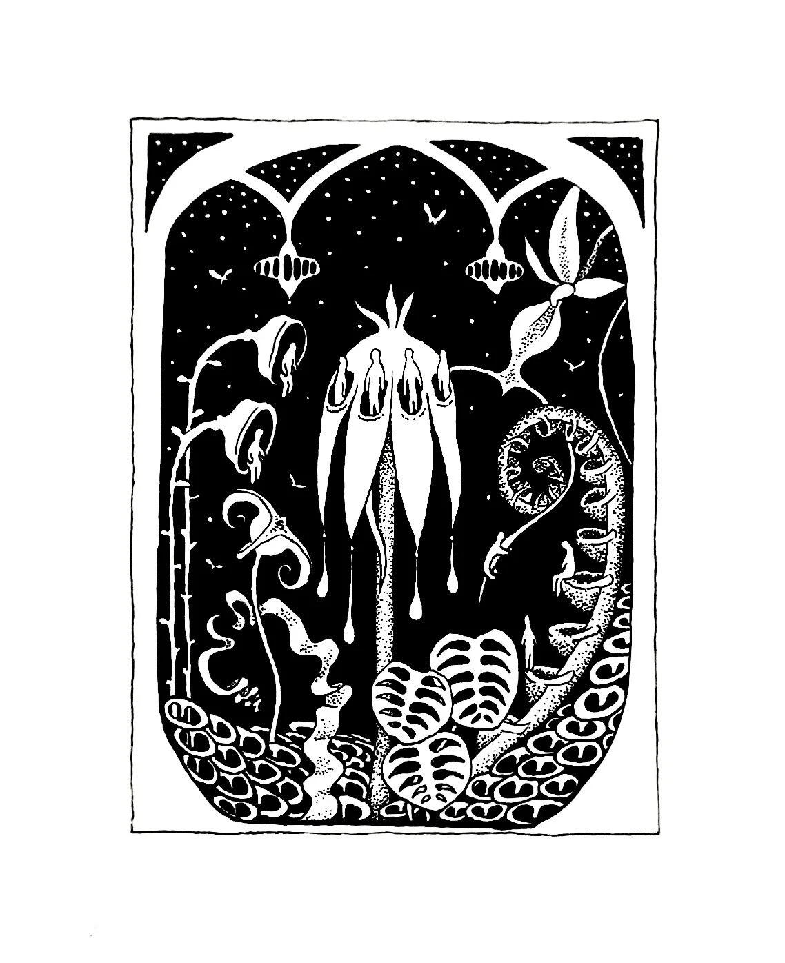 Click here to learn more about my work