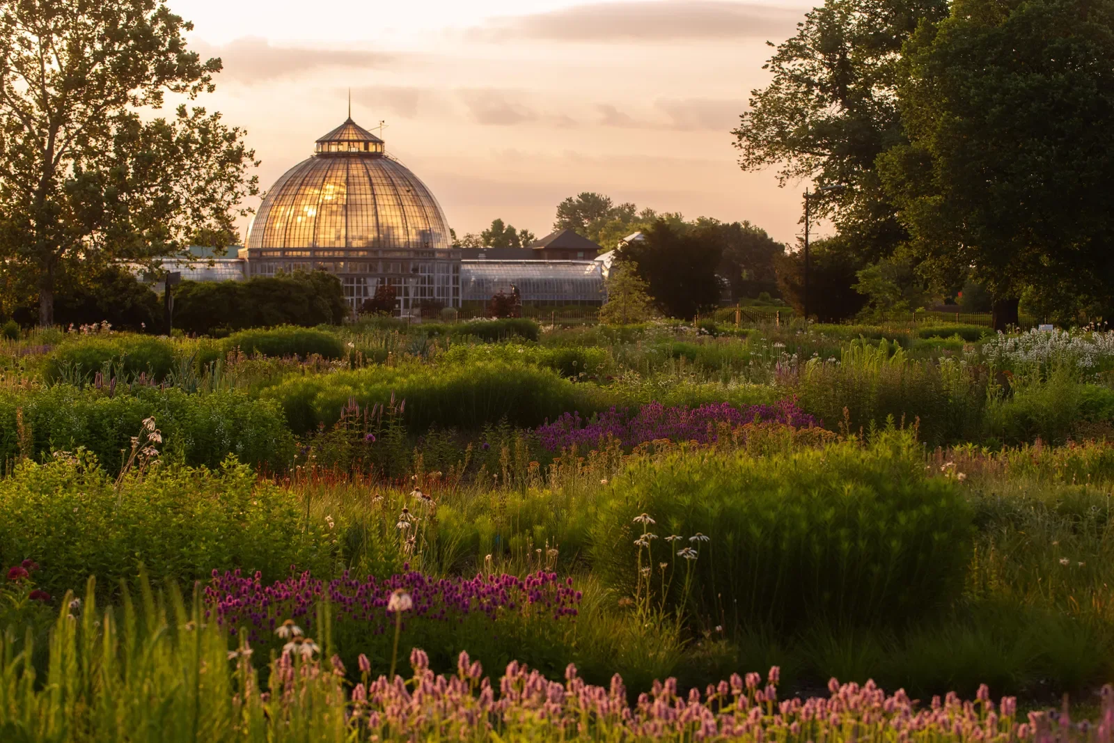 Belle Isle