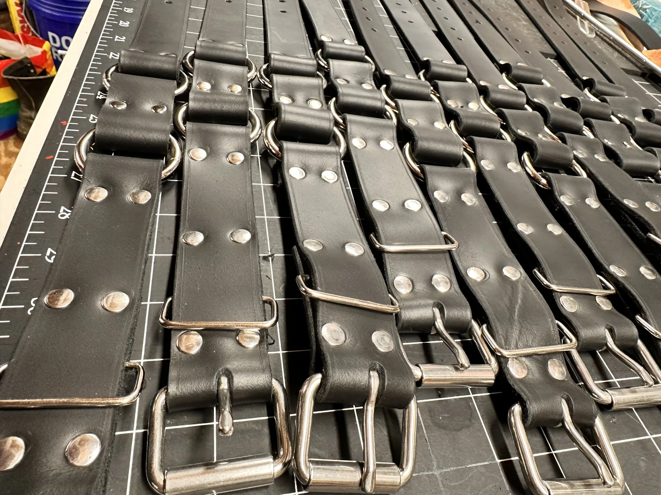 IMG_1260 - Kip Reynolds.jpeg