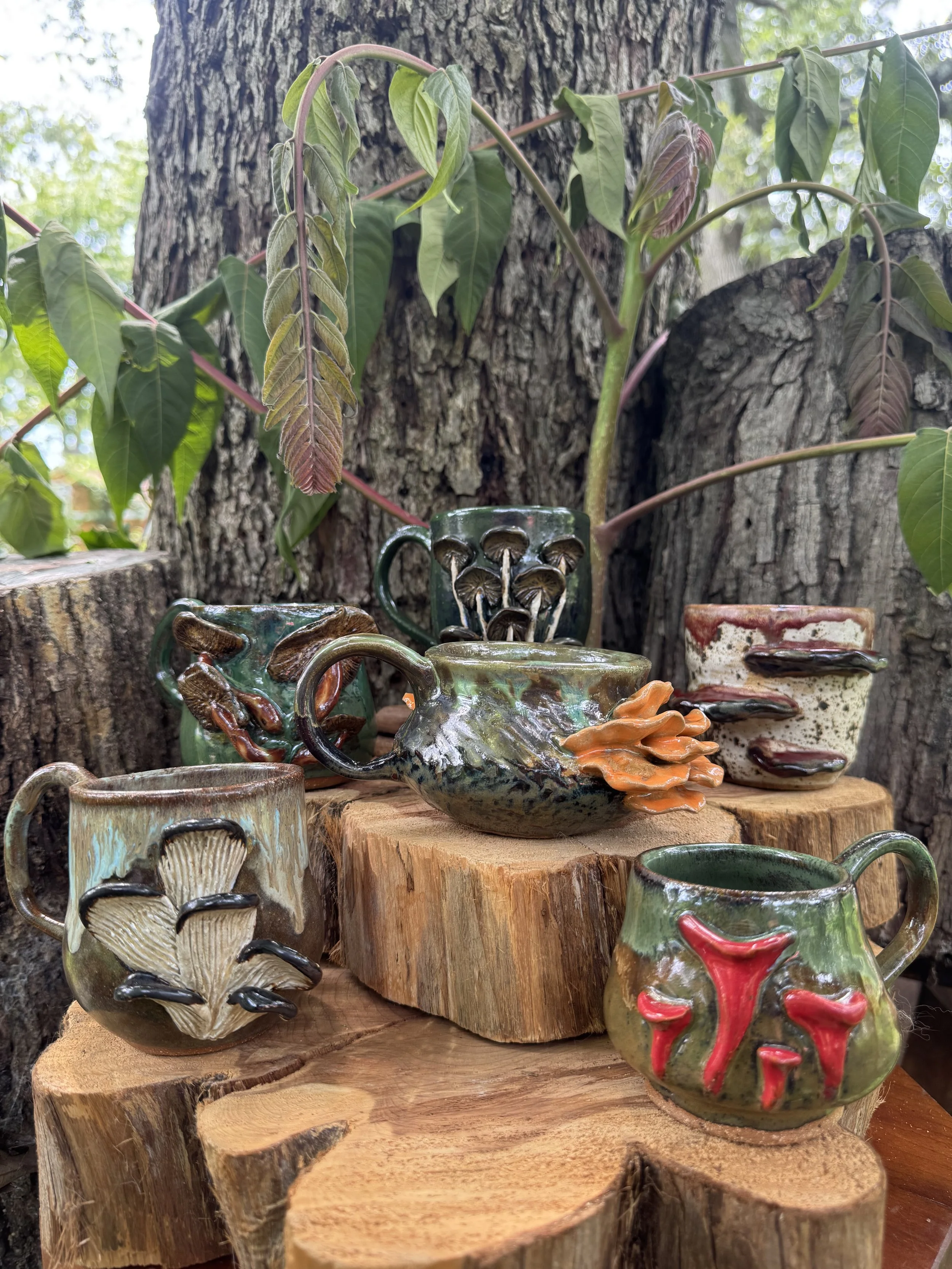 IMG_3565 - Which Witch.jpg