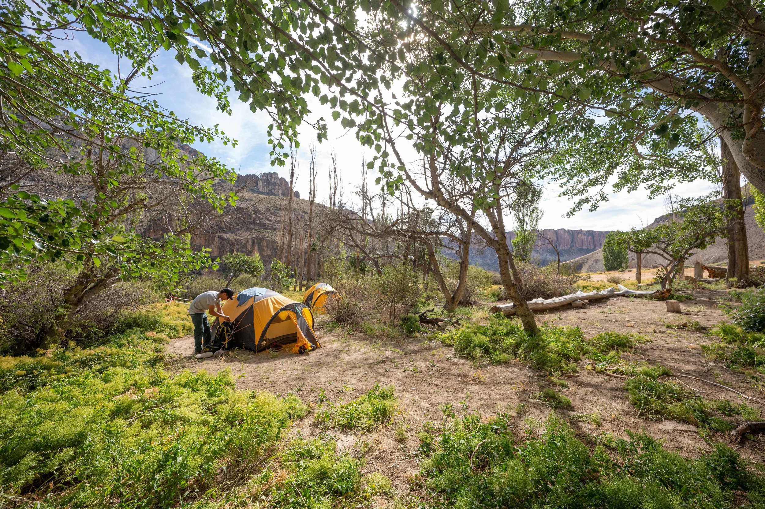 Campamentos Exploradores - Enero 2025  - Parque Patagonia - Horacio Barbieri_-4.jpg