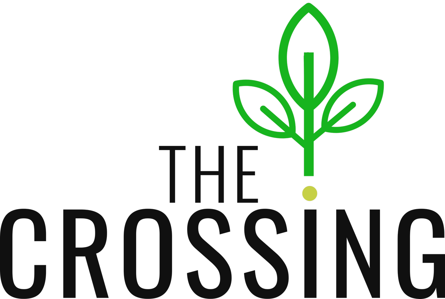 The Crossing Michigan