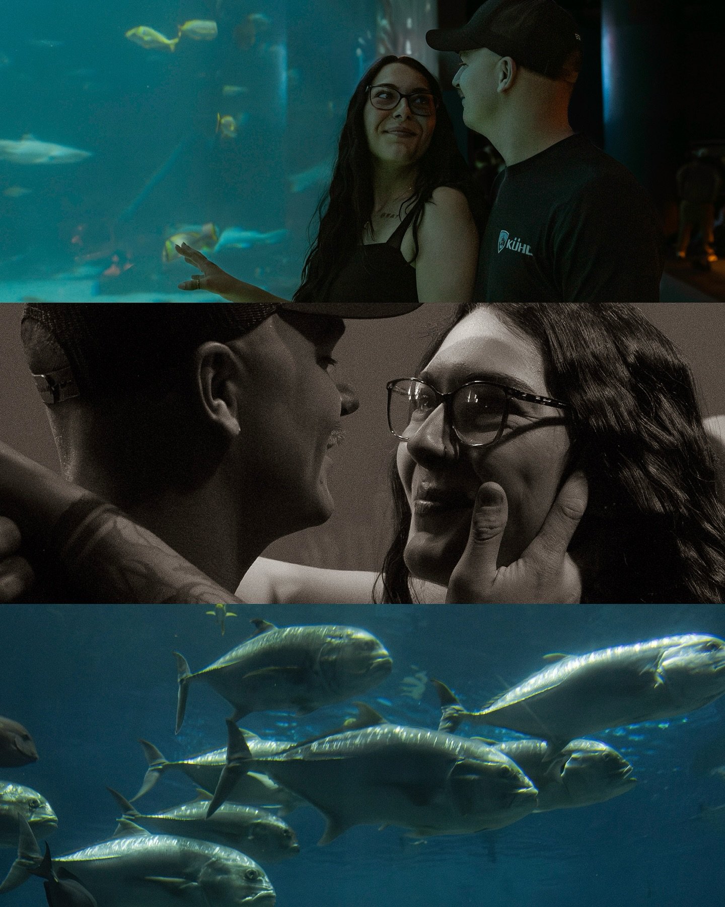 Savannah + Clayton 🐠
At the Georgia Aquarium with these cuties! To date, these were my most challenging photos to edit. I&rsquo;ve been on a journey of challenging myself with different types of lighting. Even though it&rsquo;s out of my comfort zon