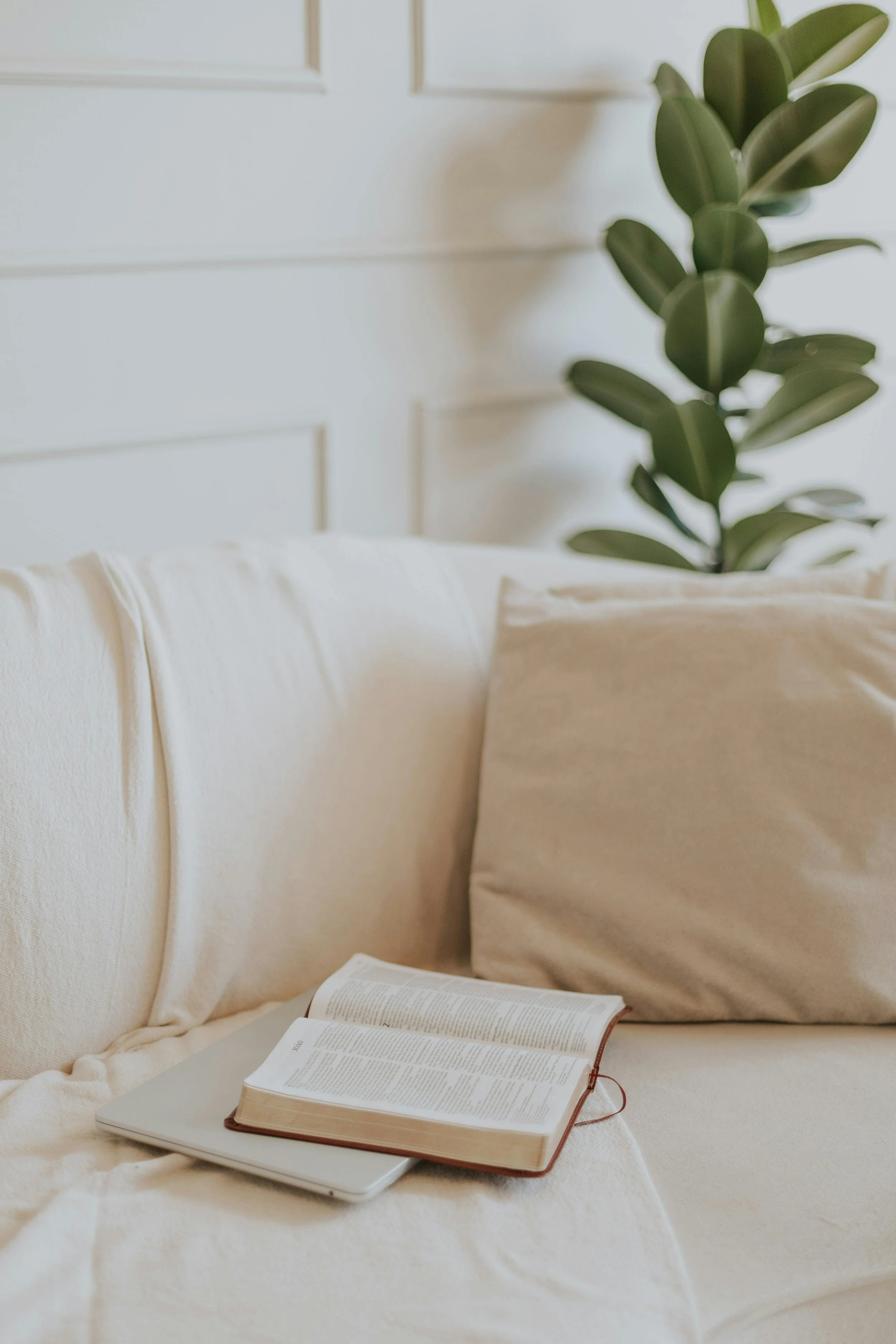 A cozy living space with a beige sofa, an open book placed on a laptop or a closed book, and a green houseplant in the background, all set against a white wall.