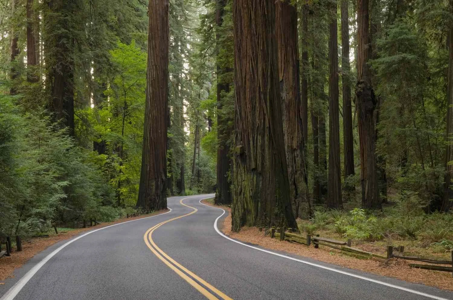 CALIFORNIA (NORTHERN) - eBook + KryptoChase