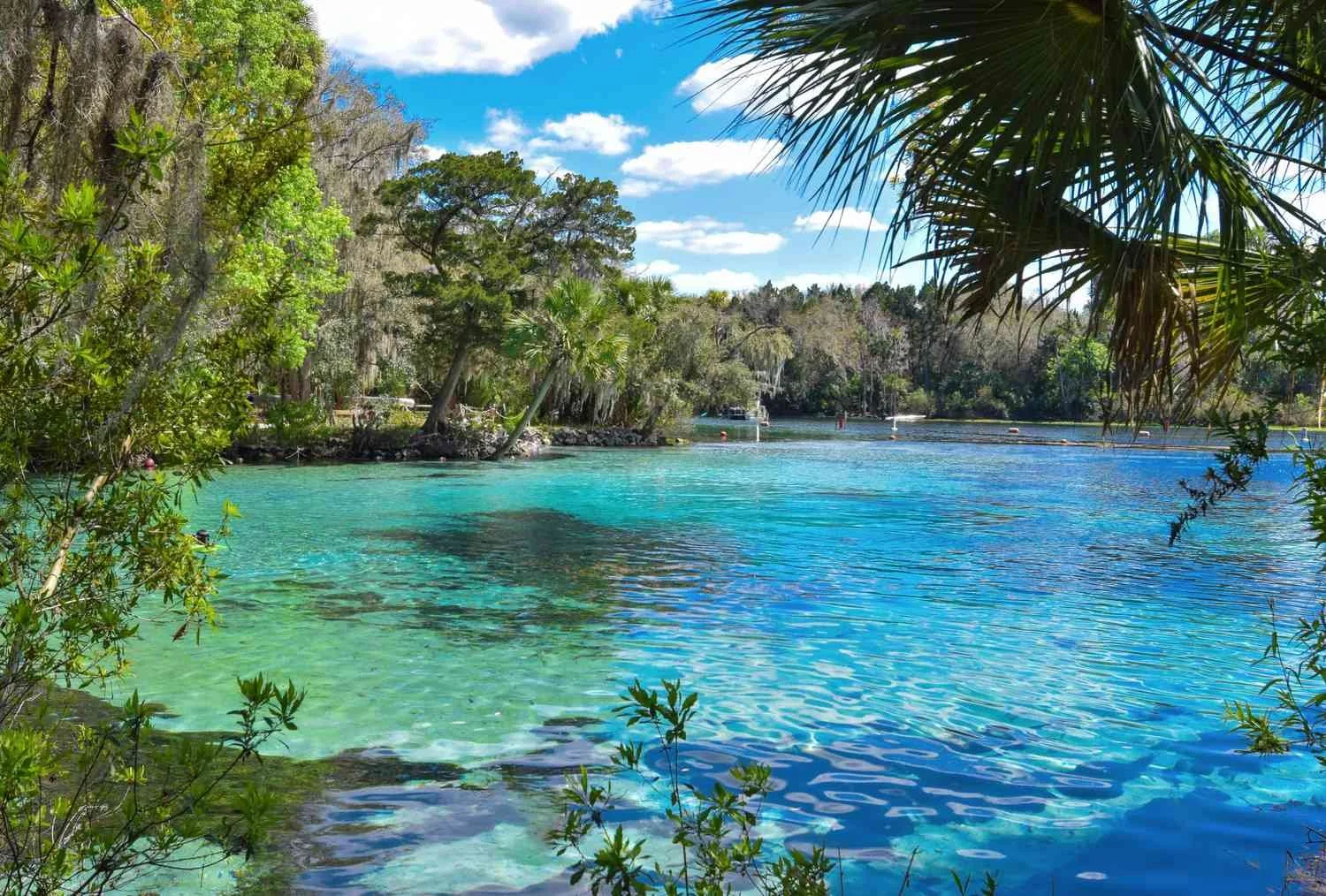 FLORIDA (NORTH) - eBook + KryptoChase