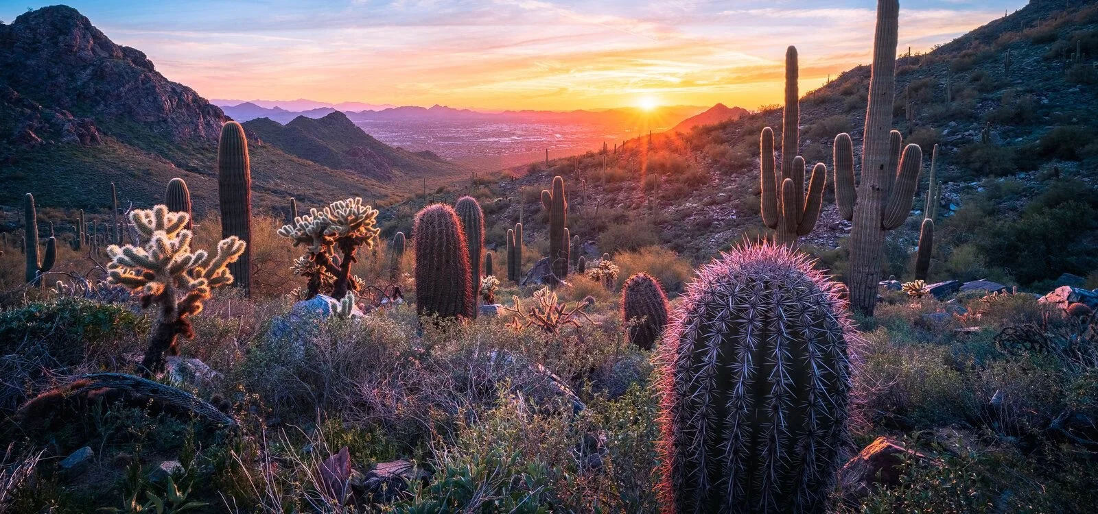 ARIZONA - eBook + KryptoChase