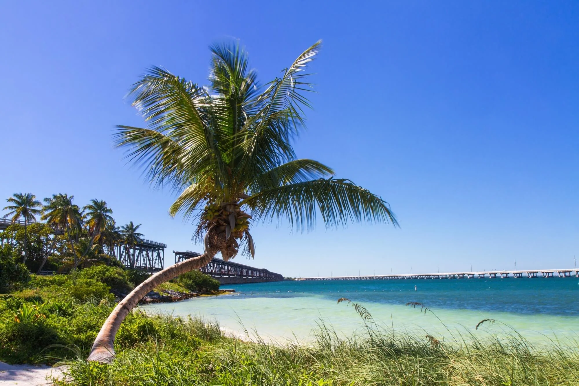 FLORIDA (SOUTH) - eBook + KryptoChase