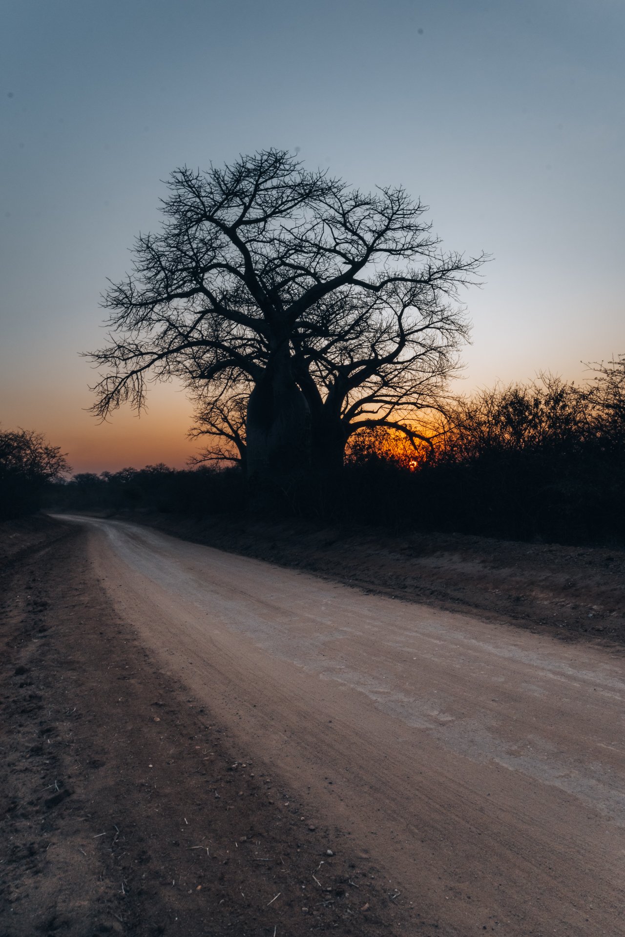 20220731, Baobah 028.jpg