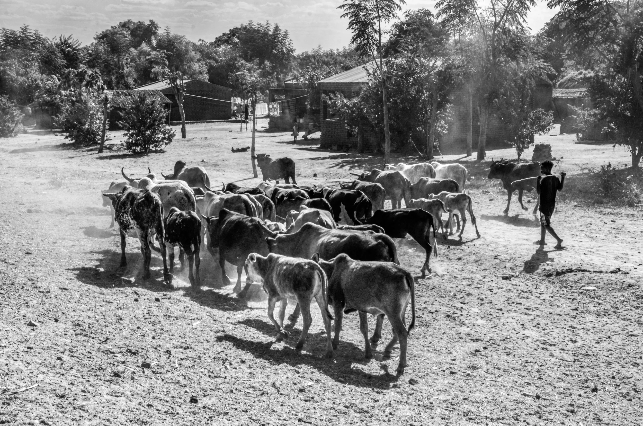 20200524, Zobue 103-Editar(B&W).jpg