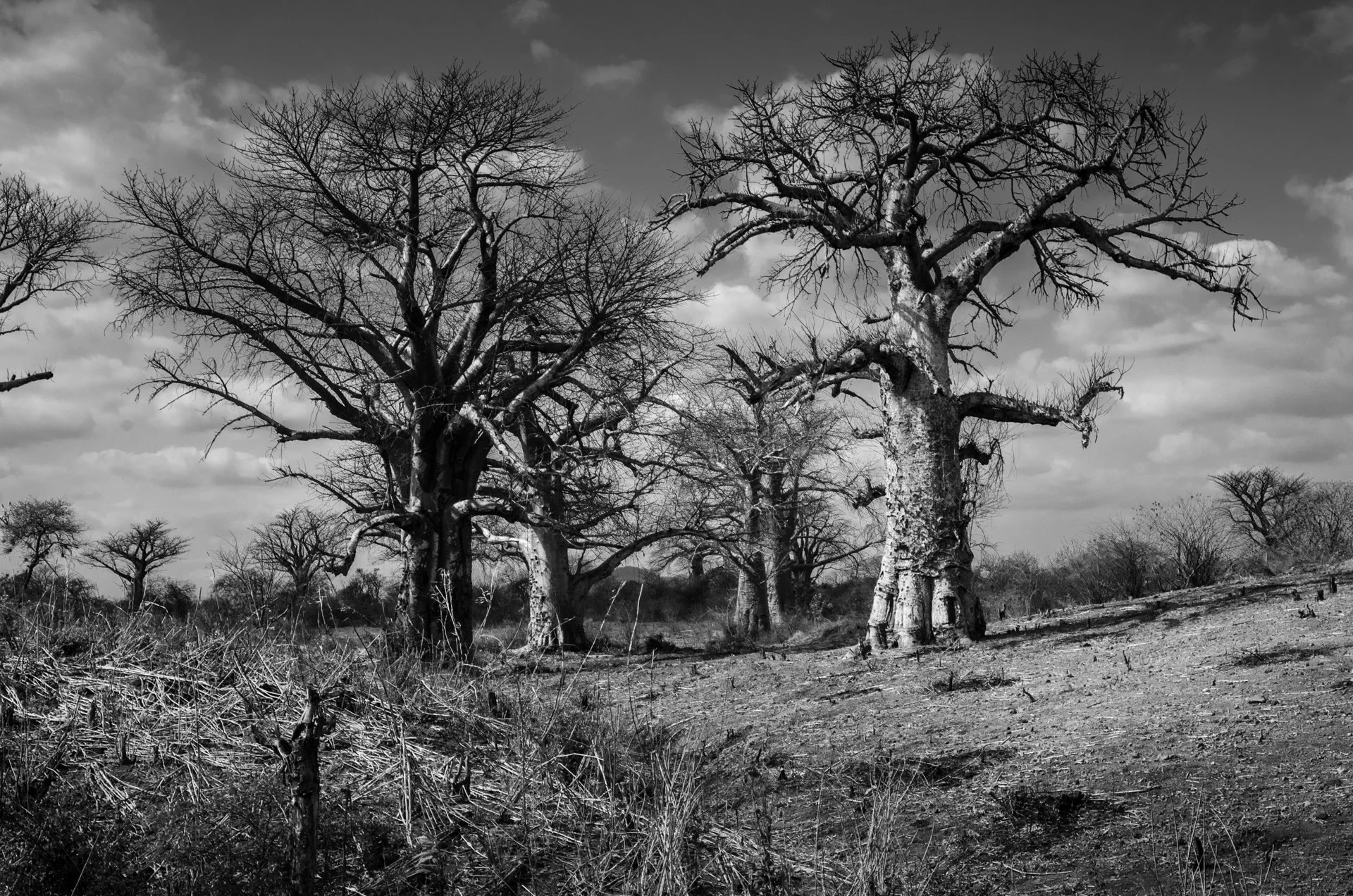 20191004, Tete Dirt Roads 085 (BW).jpg