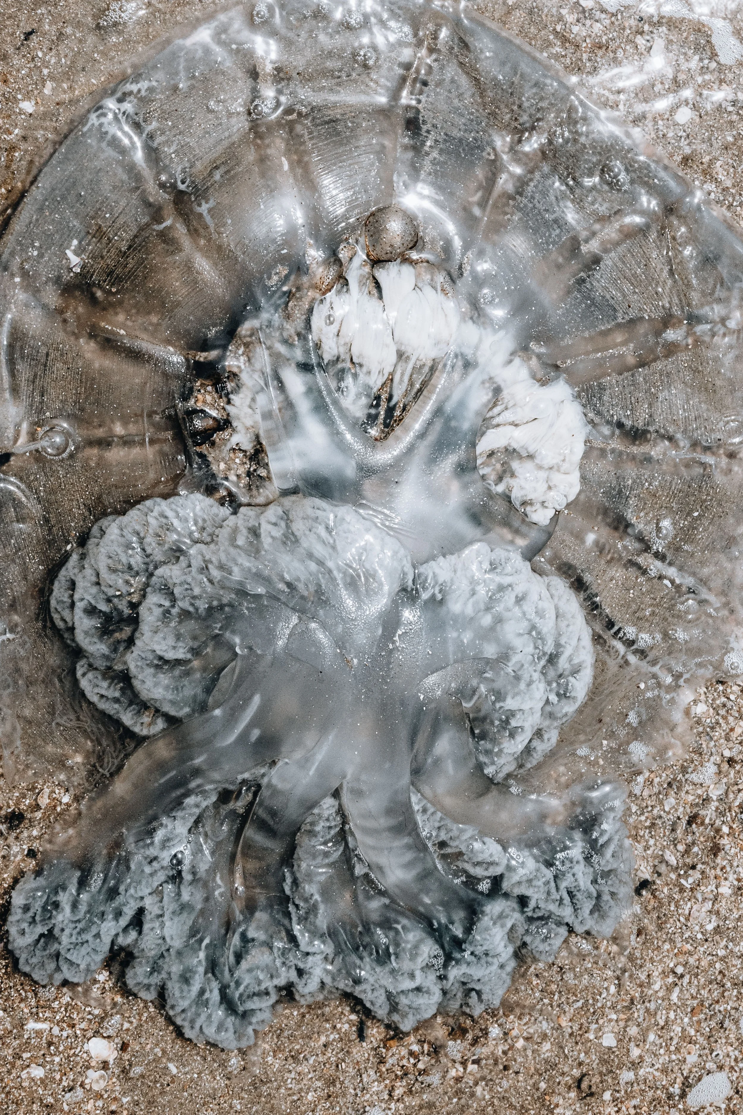 20230925, Katembe 025.jpg