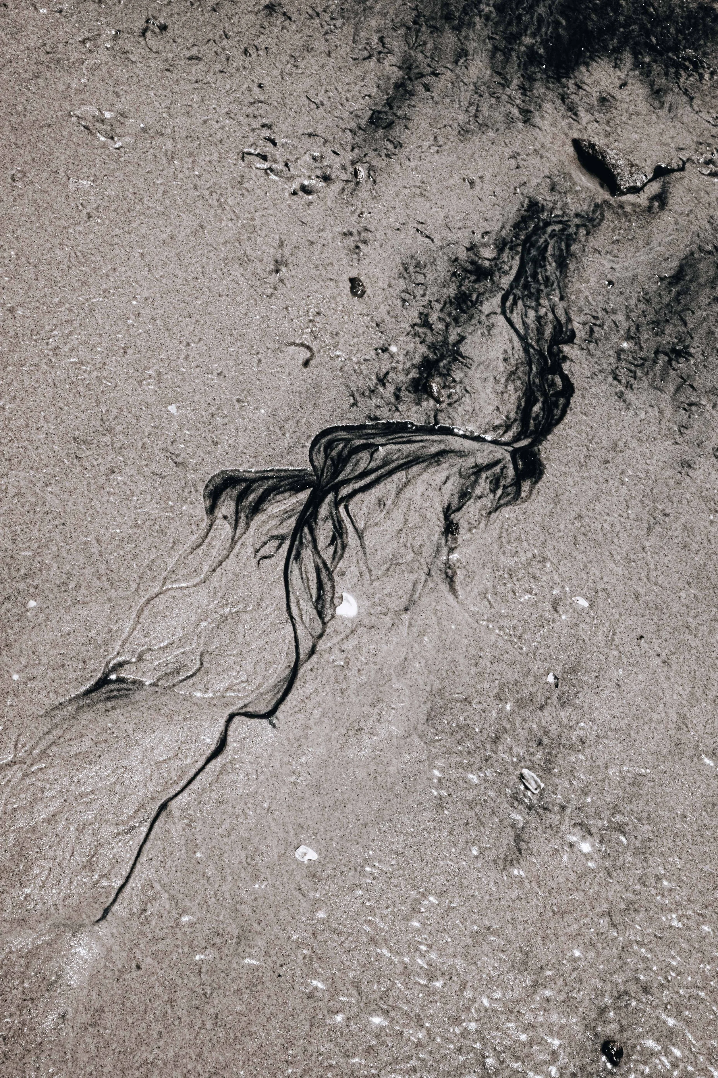 20231104, Areia Katembe 133.jpg