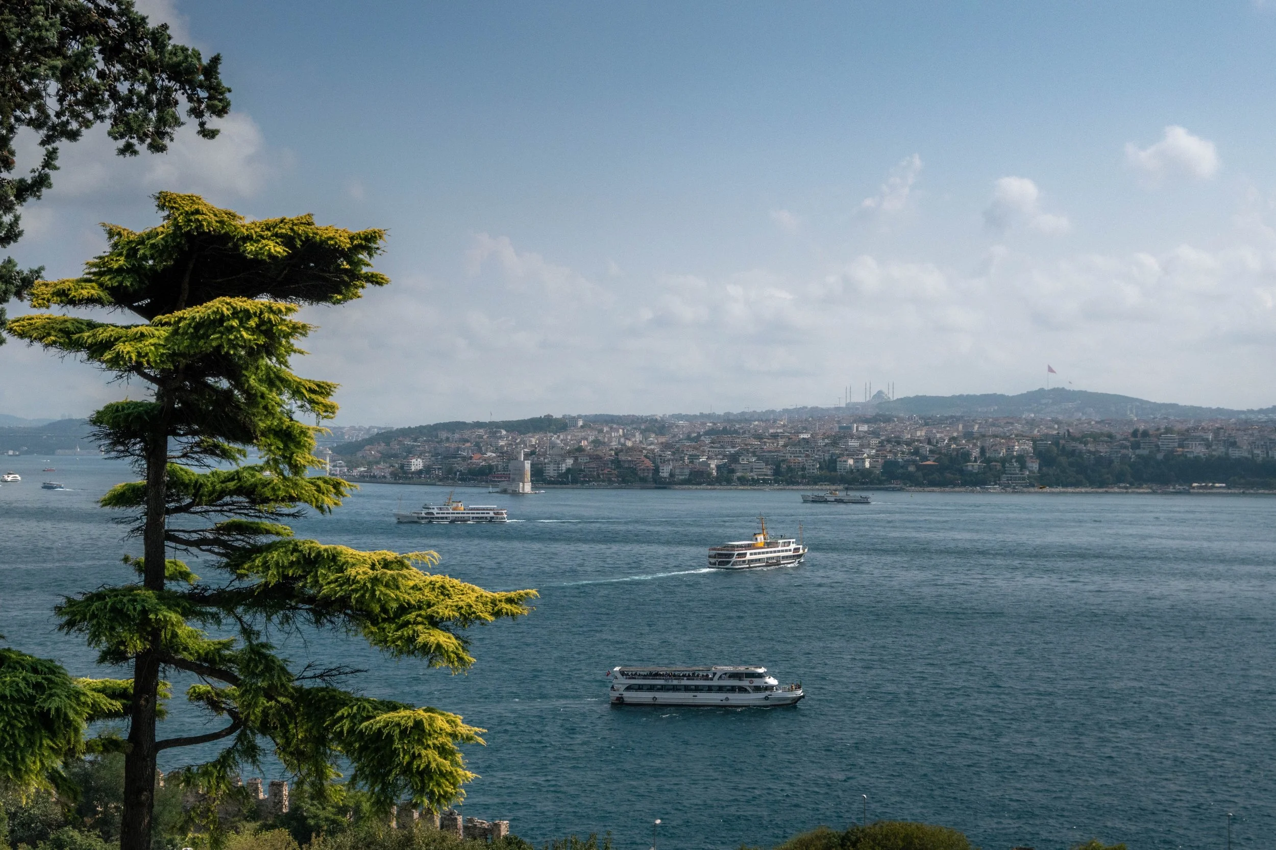 Vista de um mar com vários barcos navegando, uma árvore verde à esquerda e uma cidade ao fundo sob céu parcialmente nublado.