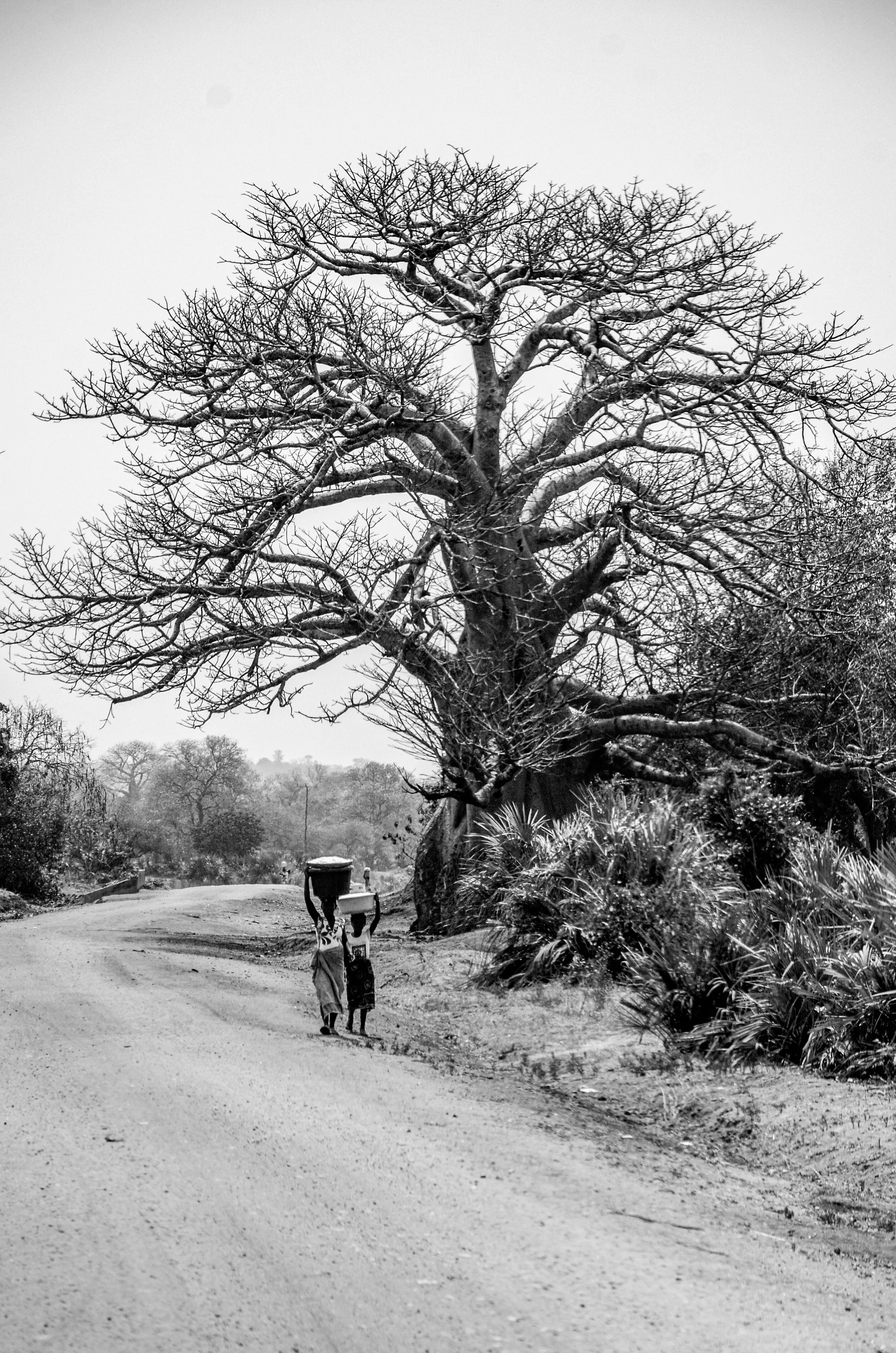 20200919, Quelimane-Tete 04-47-Editar(B&W).jpg