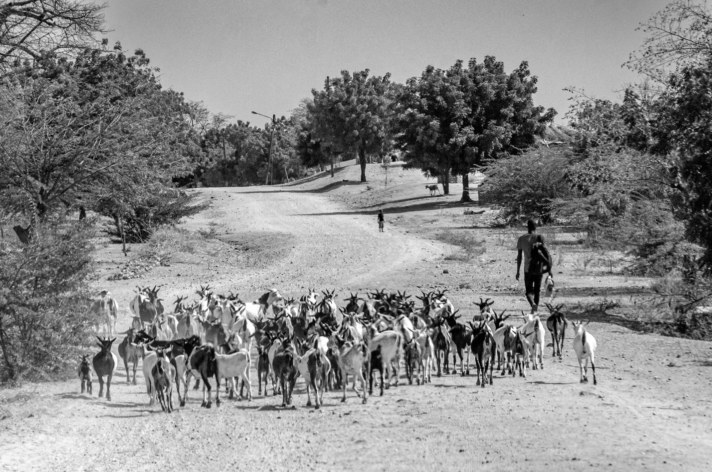 20200816, Boroma 017-Editar(B&W).jpg