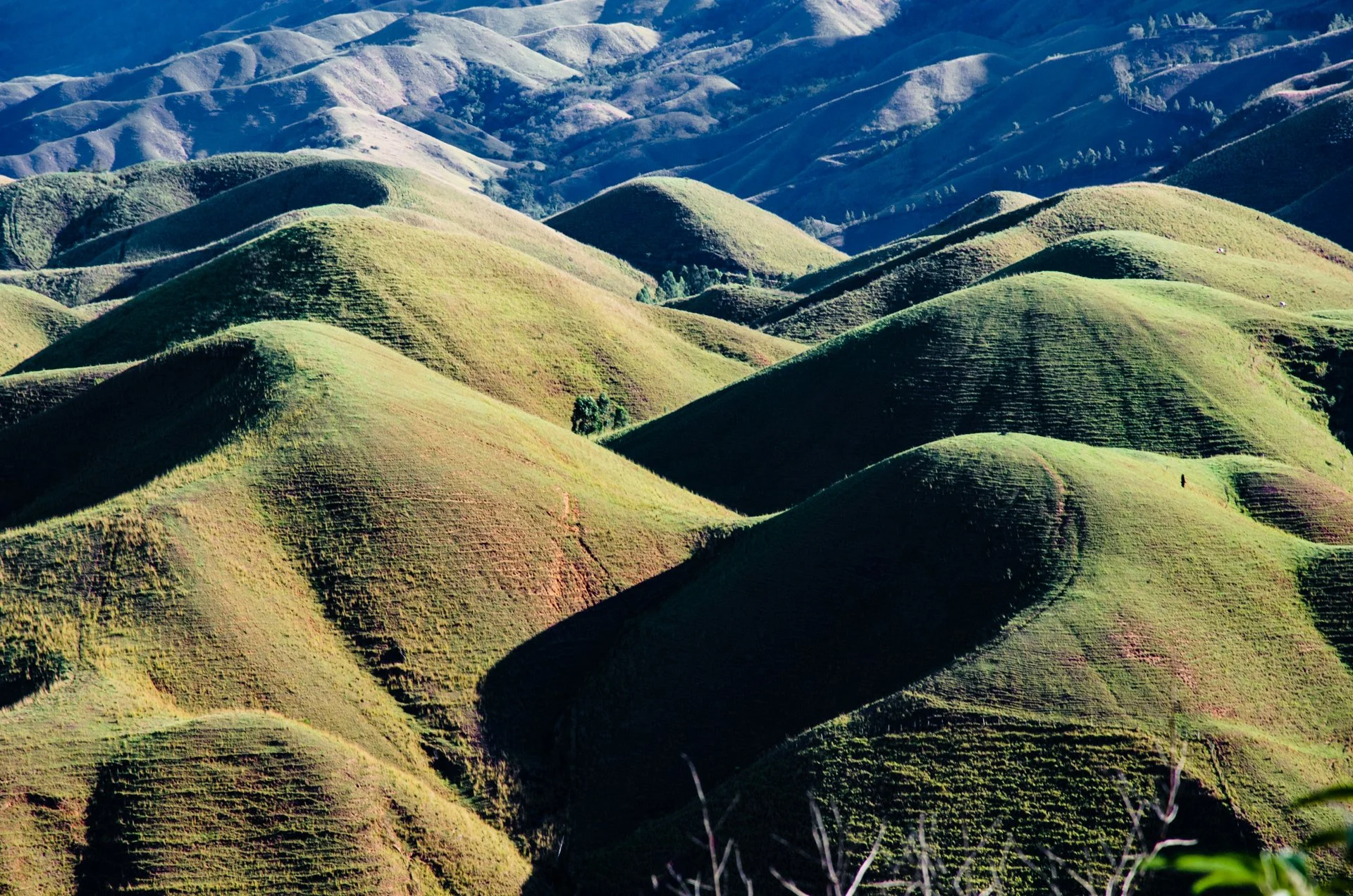 Paisagem de colinas verdes e onduladas ao sol com sombras suaves.