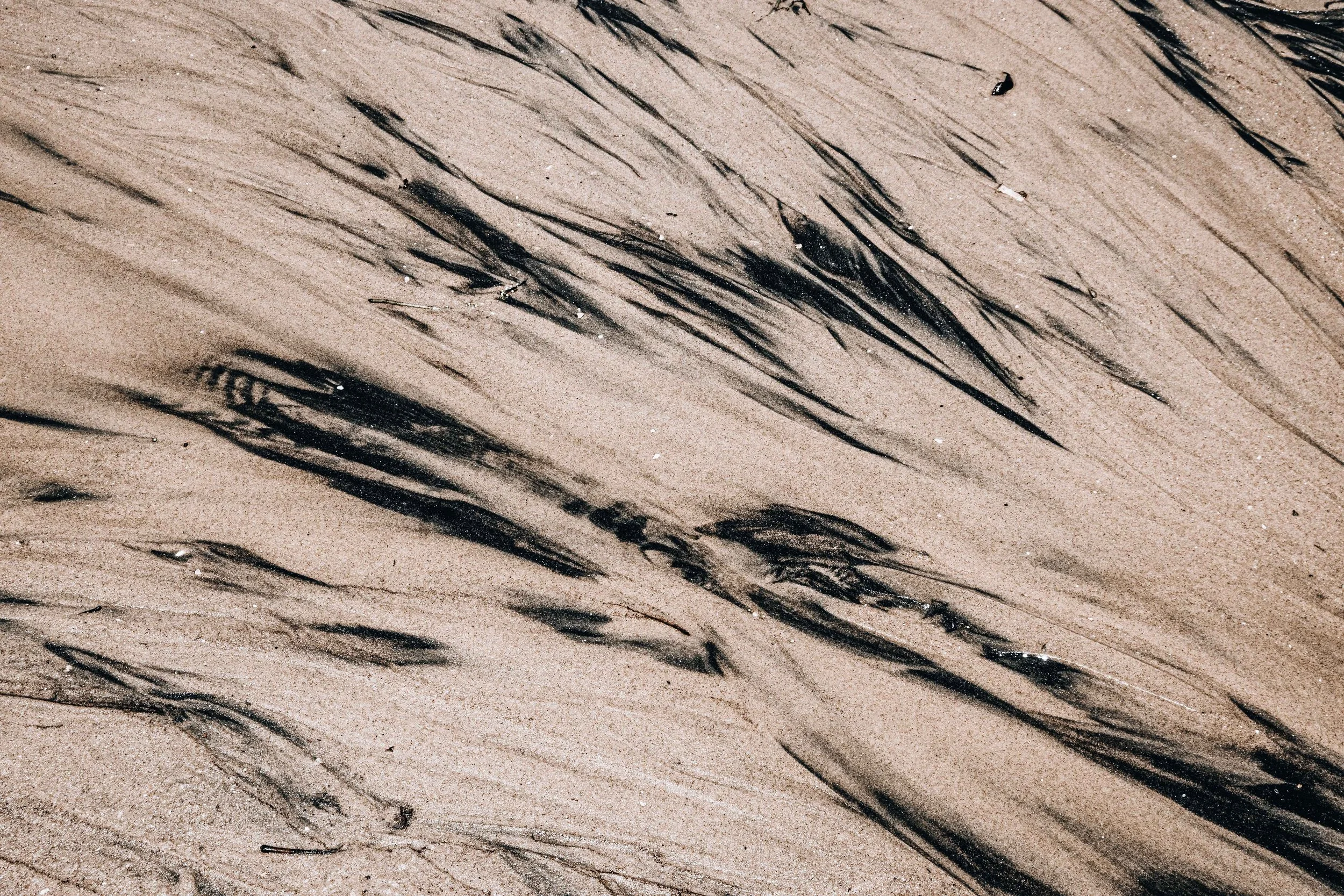 20231104, Areia Katembe 061.jpg