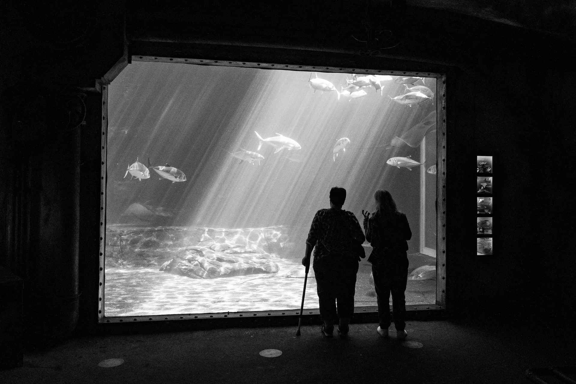 Duas pessoas observando um aquário com peixes sob luzes que criam raios de luz na água.