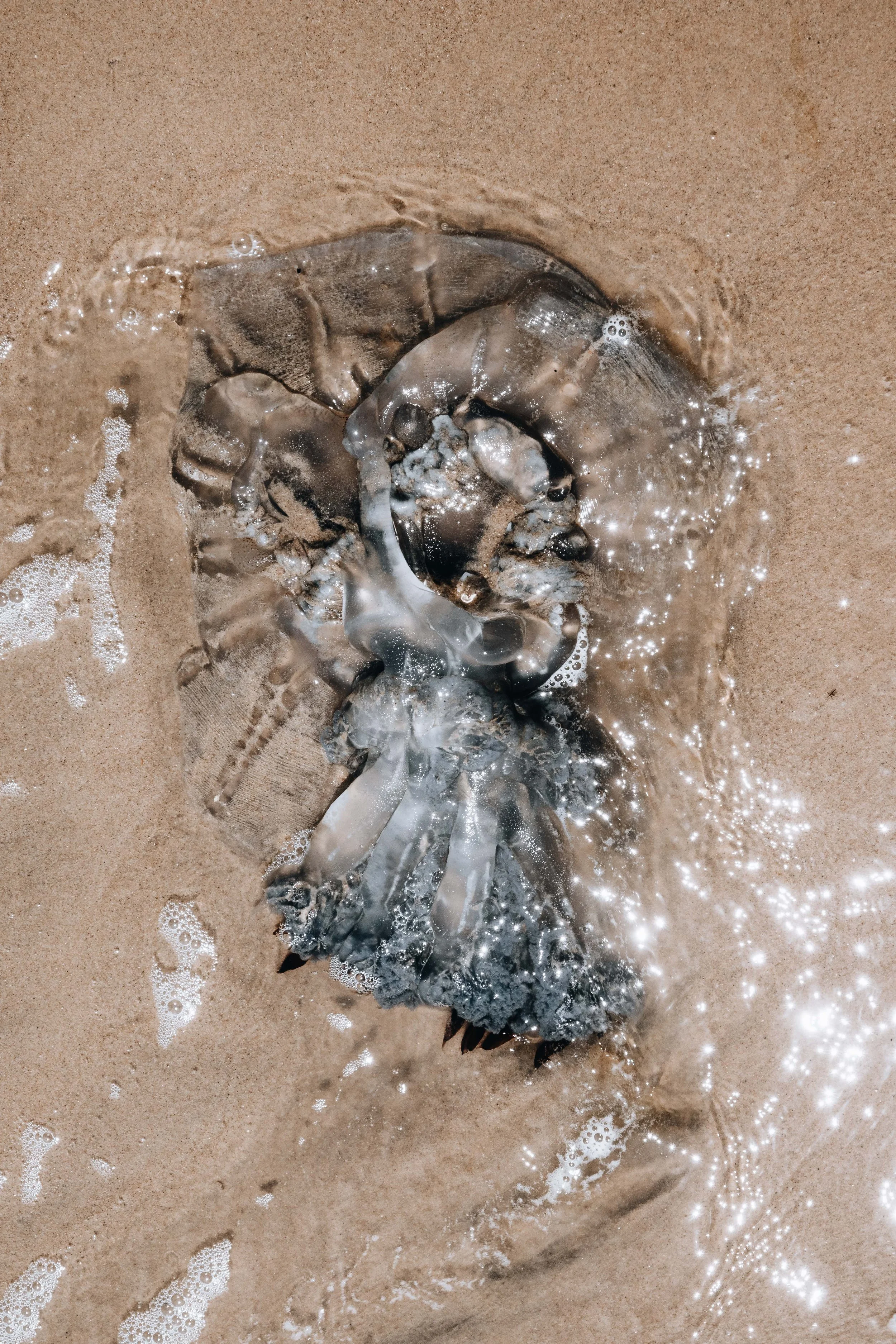 20230925, Katembe 070.jpg