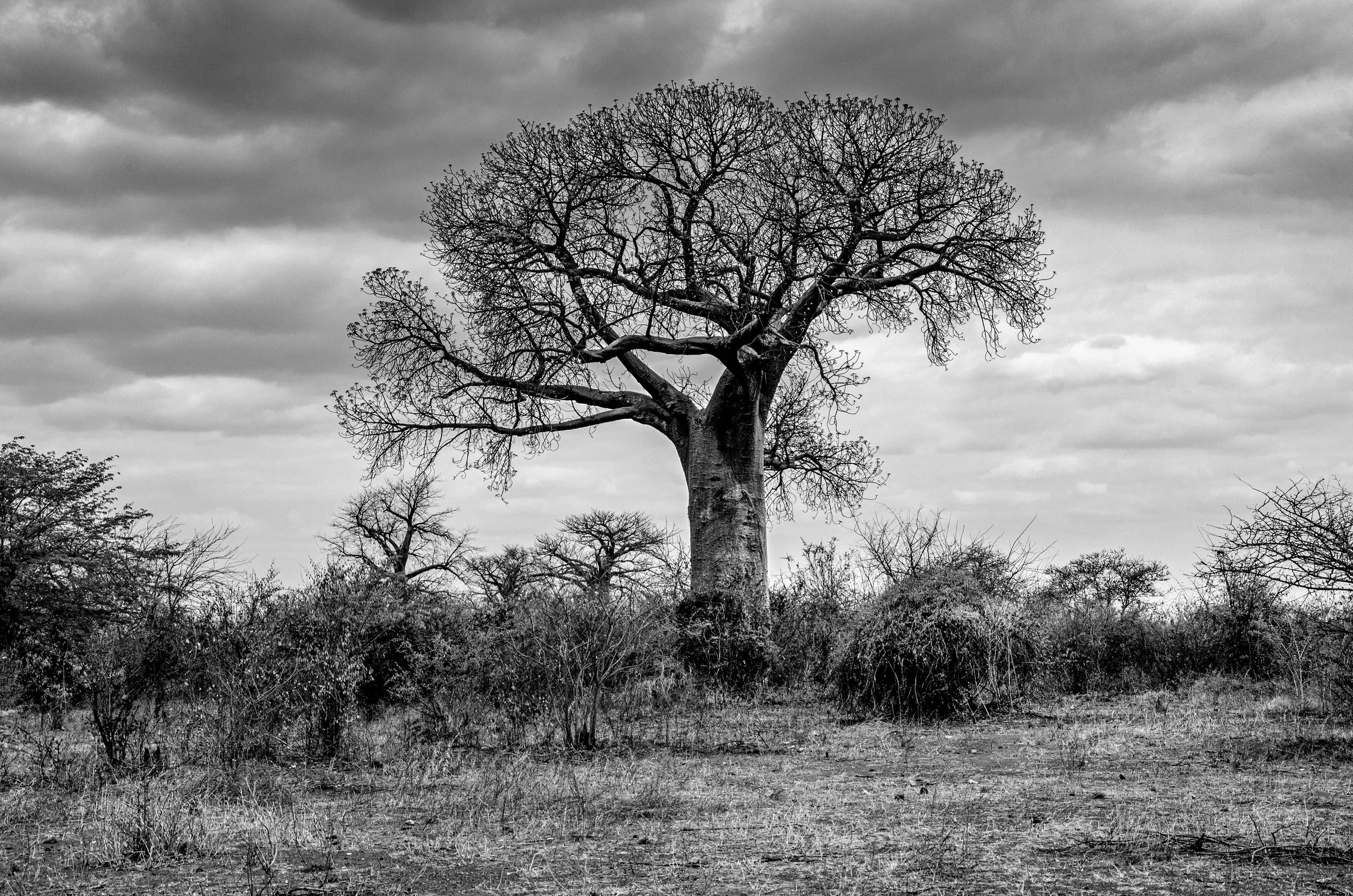 20191004, Tete Dirt Roads 057-Editar(B&W).jpg