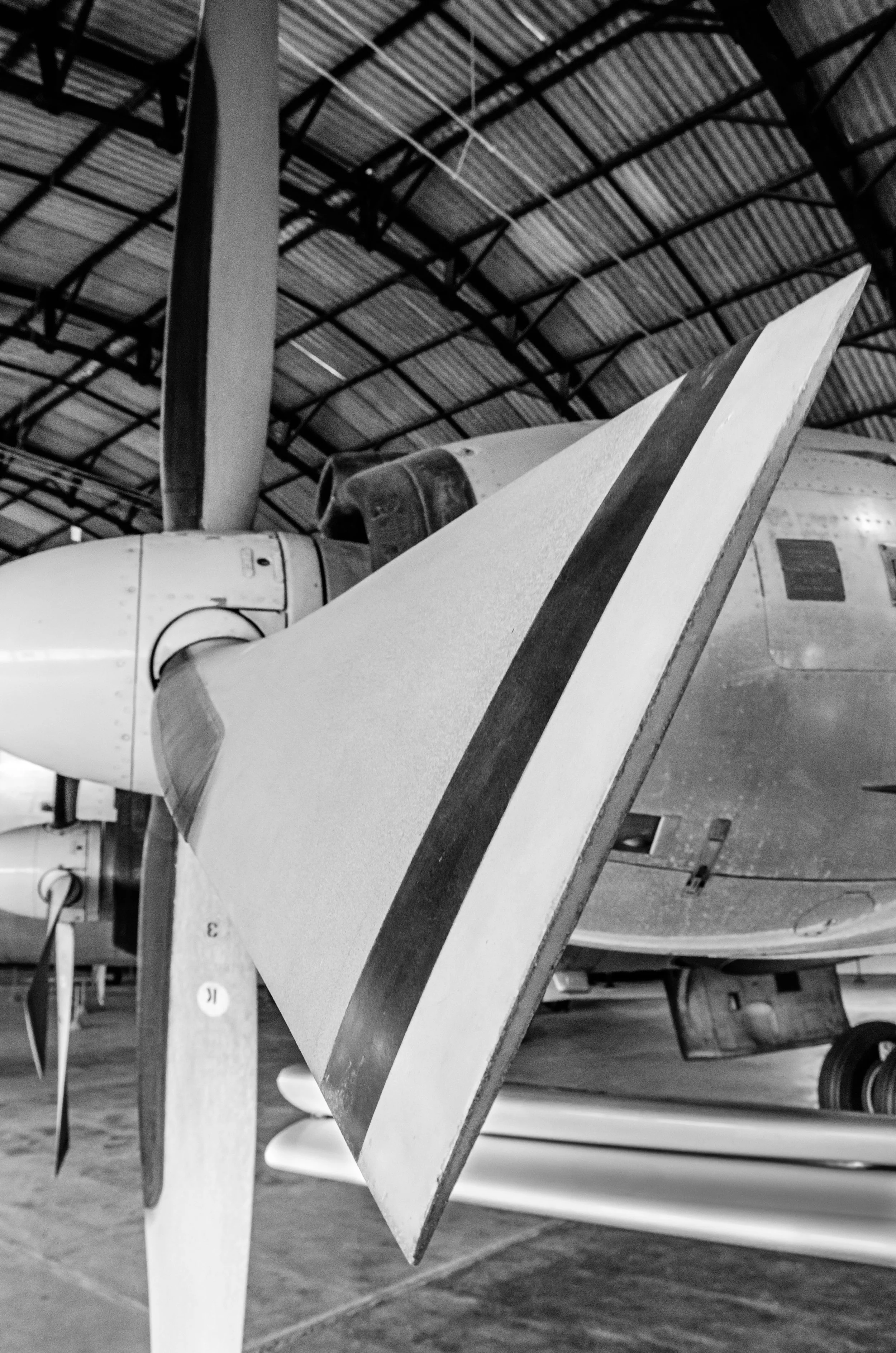 20161029, Musal 153-Editar(B&W).jpg