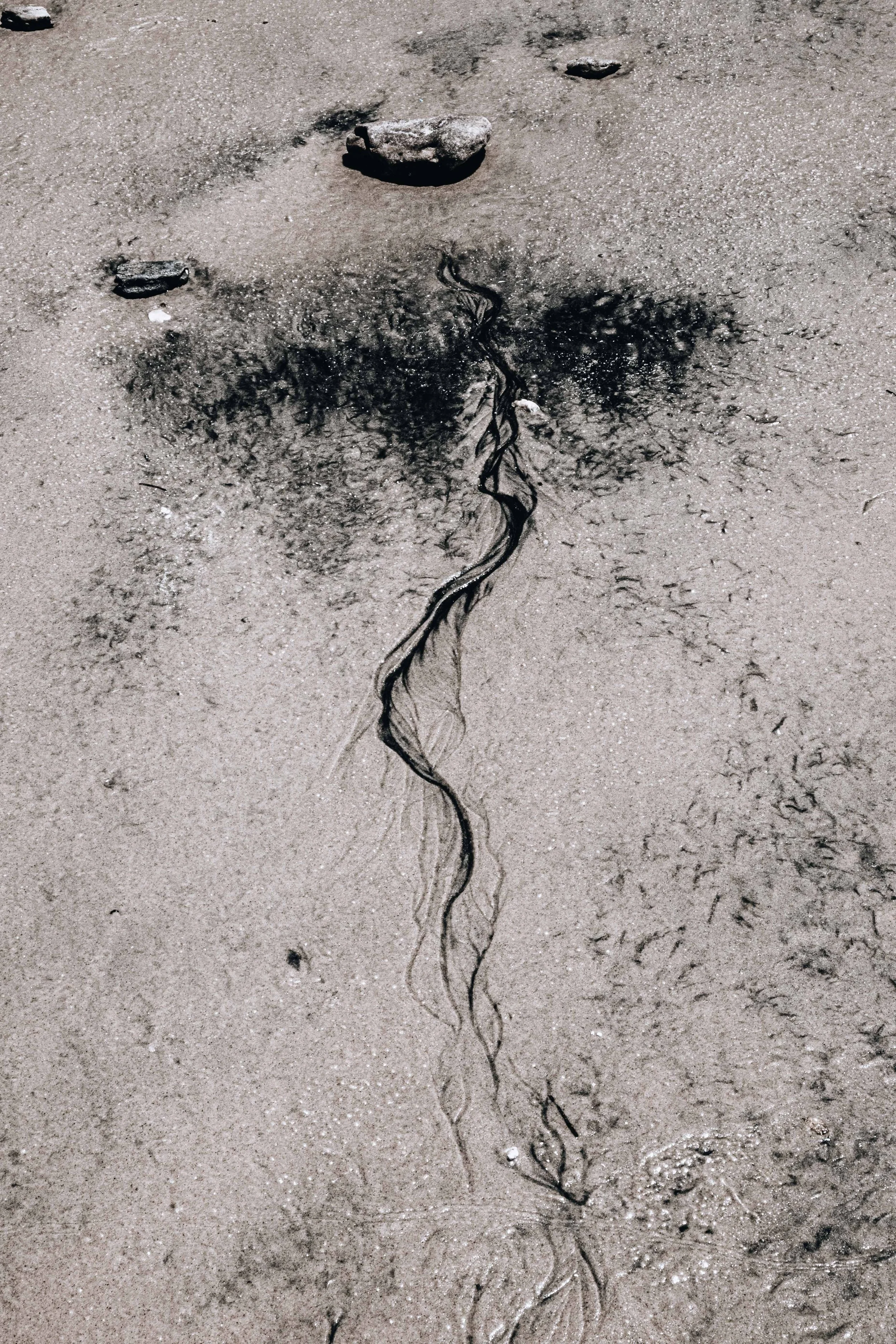 20231104, Areia Katembe 130.jpg